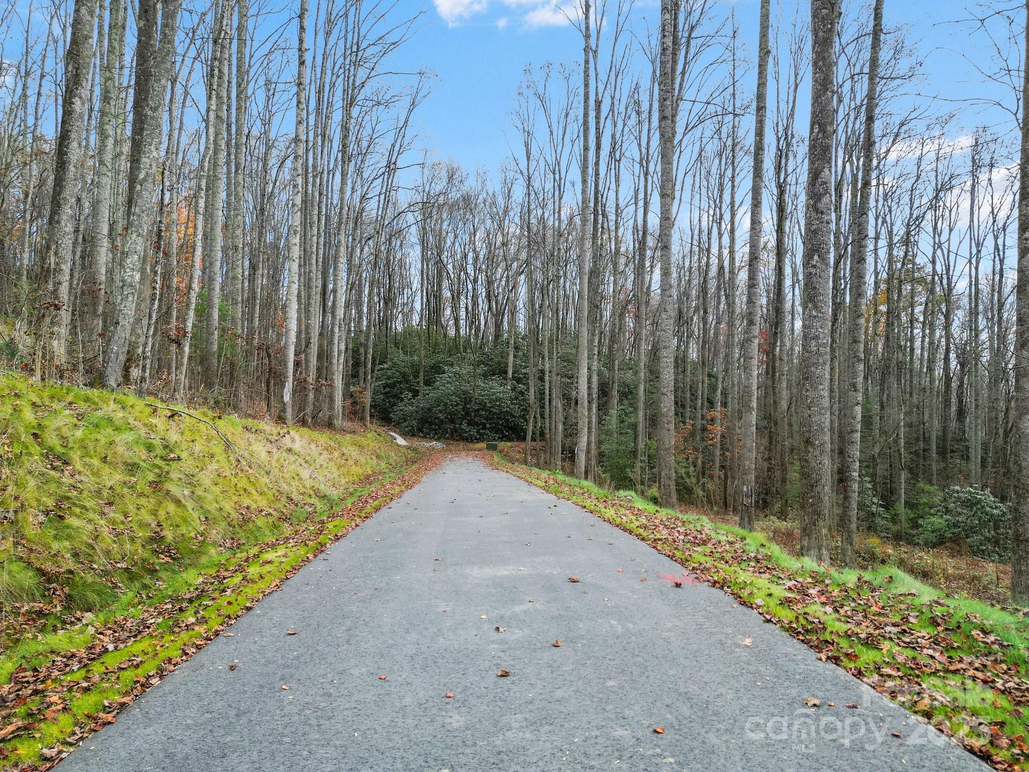 Lot 80 Mountain Grove Lane Lot 80 Property Photo 5