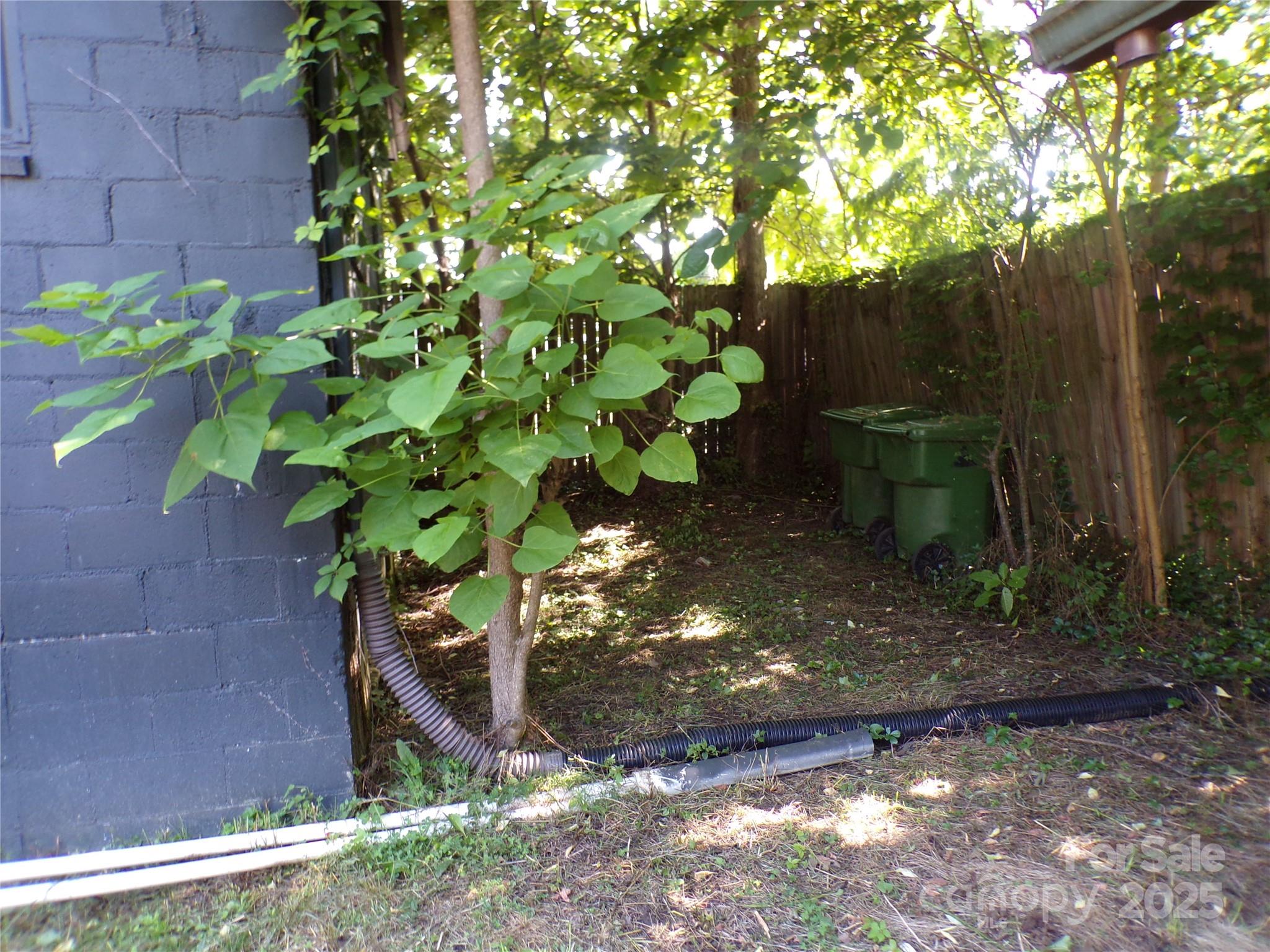 16 Allen Street Property Photo 15