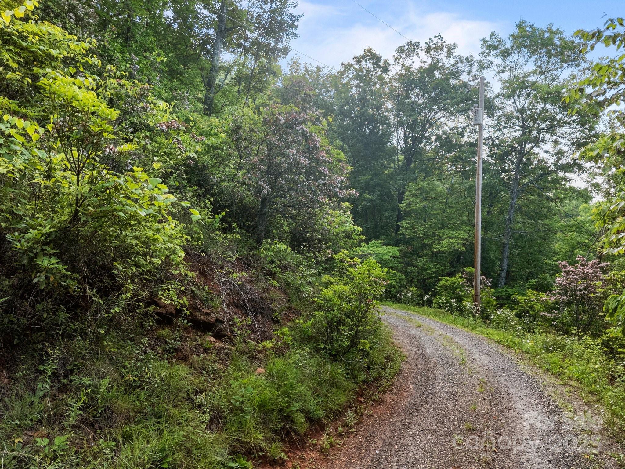 10 Turkey Trot Trail Property Photo 3