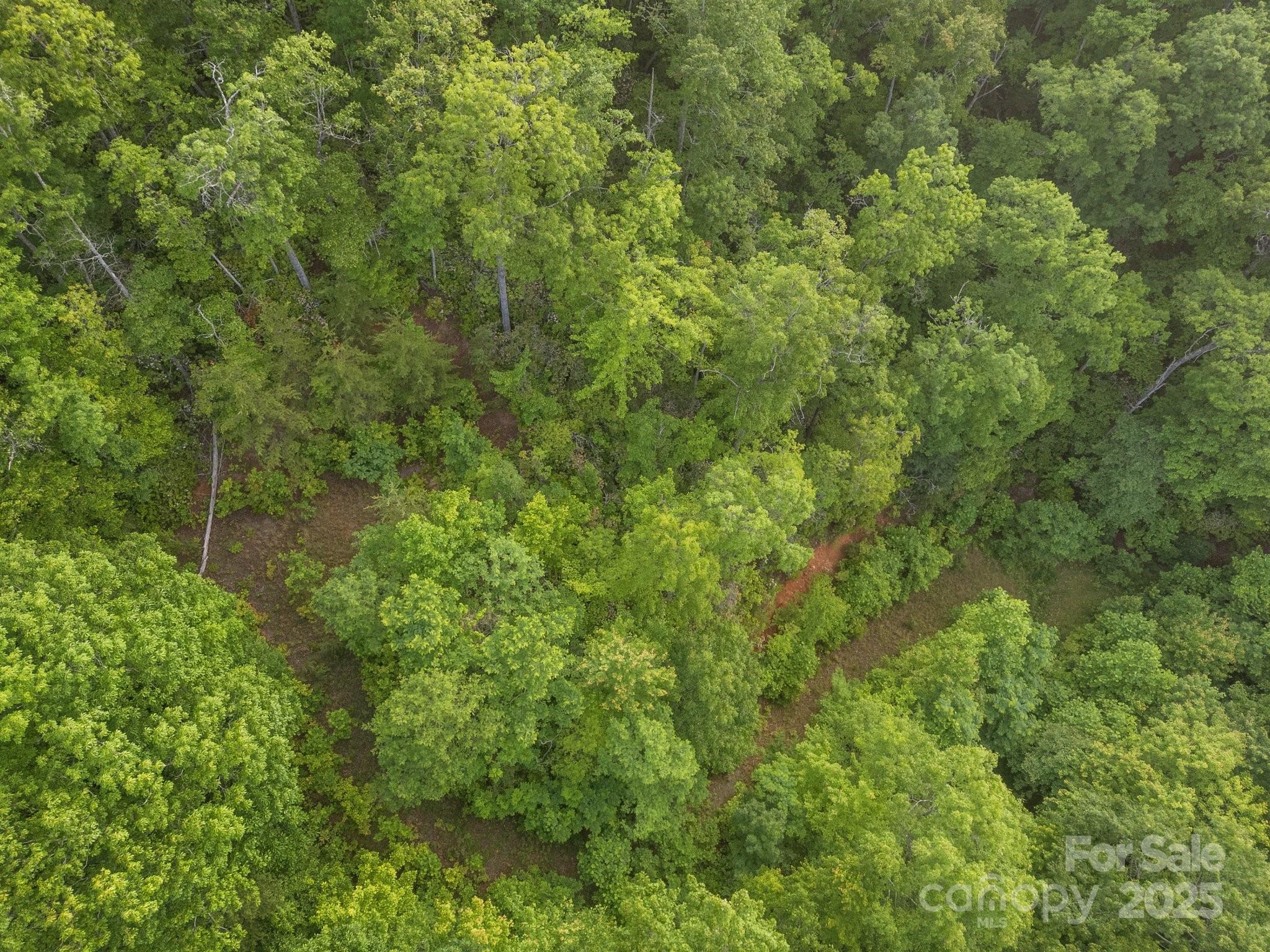 10 Turkey Trot Trail Property Photo 4