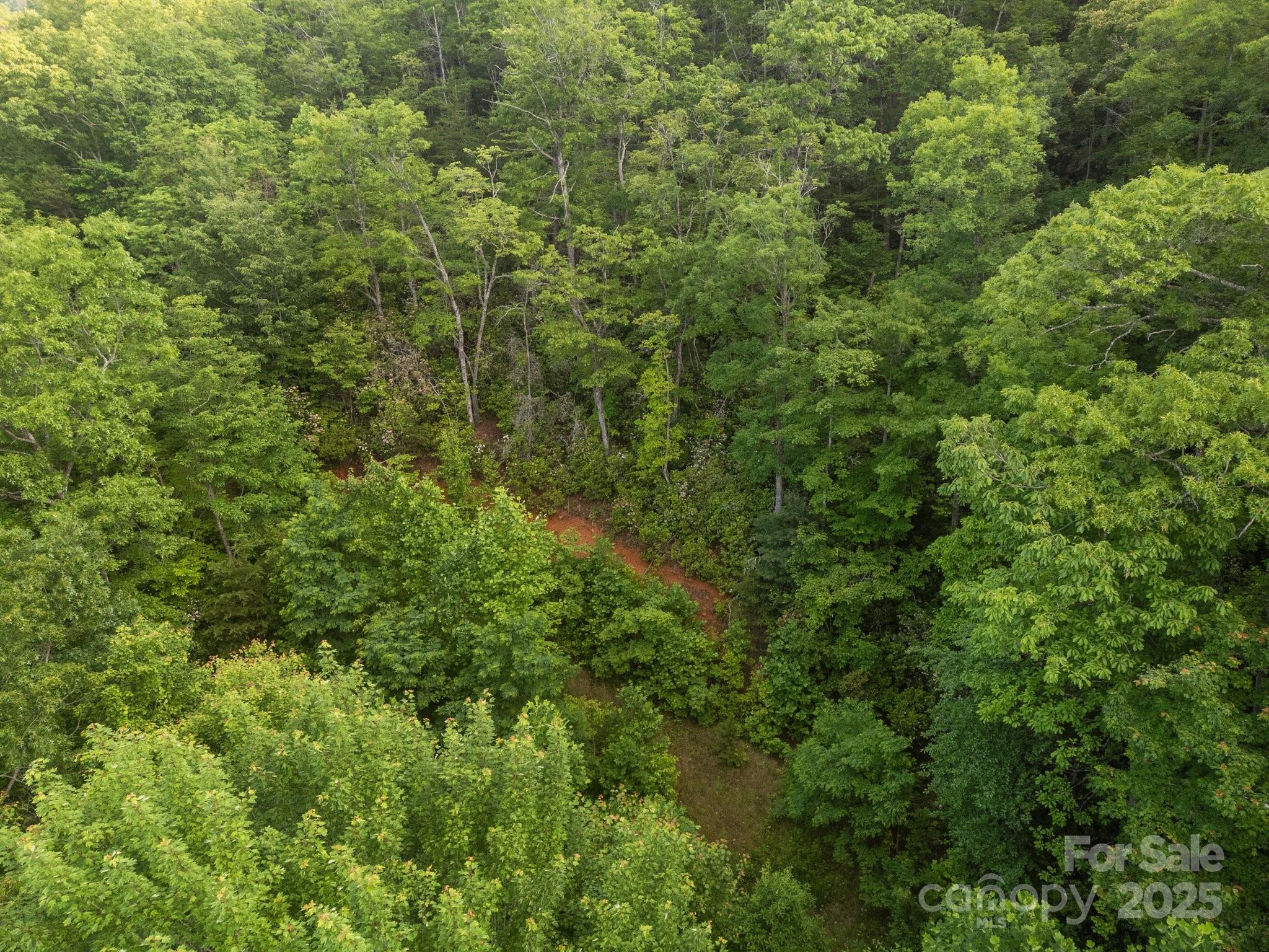 10 Turkey Trot Trail Property Photo 5