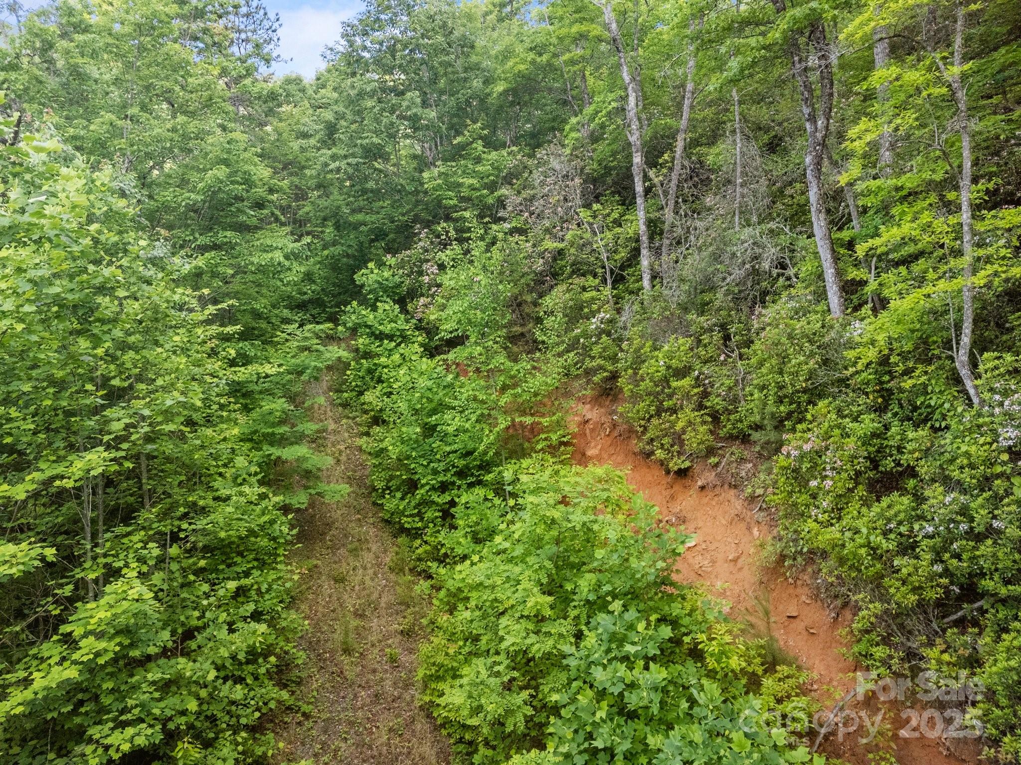 10 Turkey Trot Trail Property Photo 6