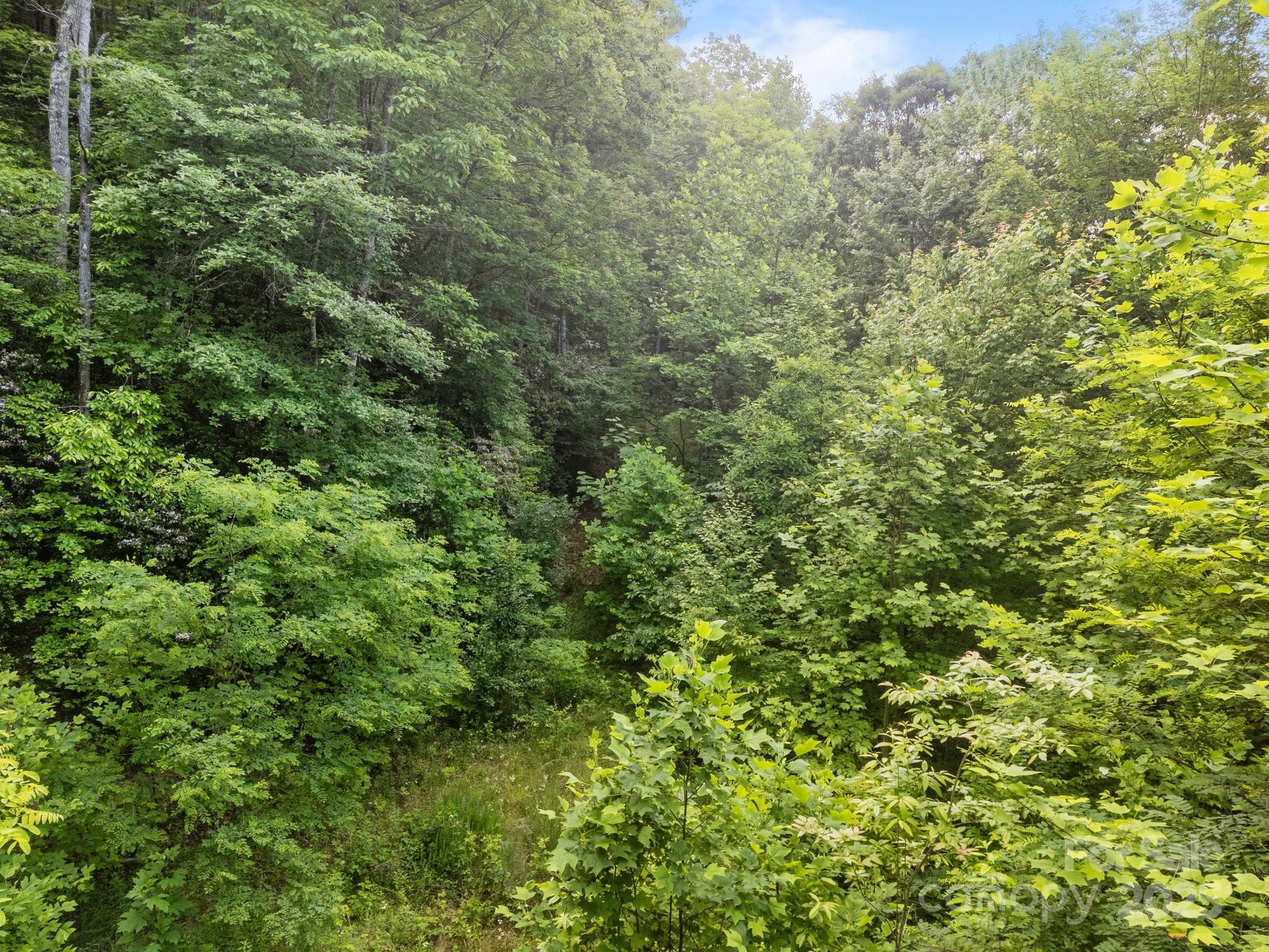 10 Turkey Trot Trail Property Photo 7
