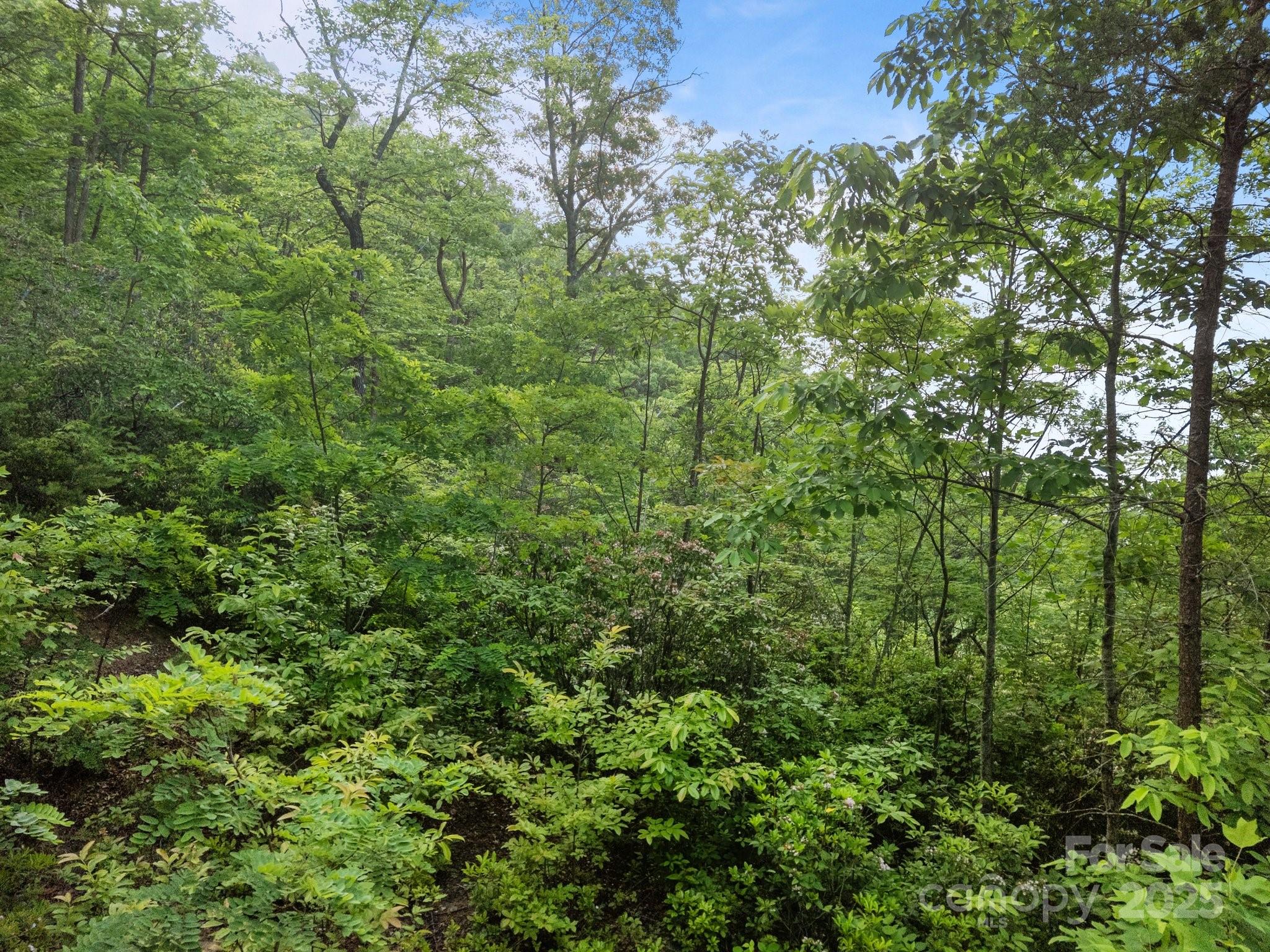 10 Turkey Trot Trail Property Photo 8