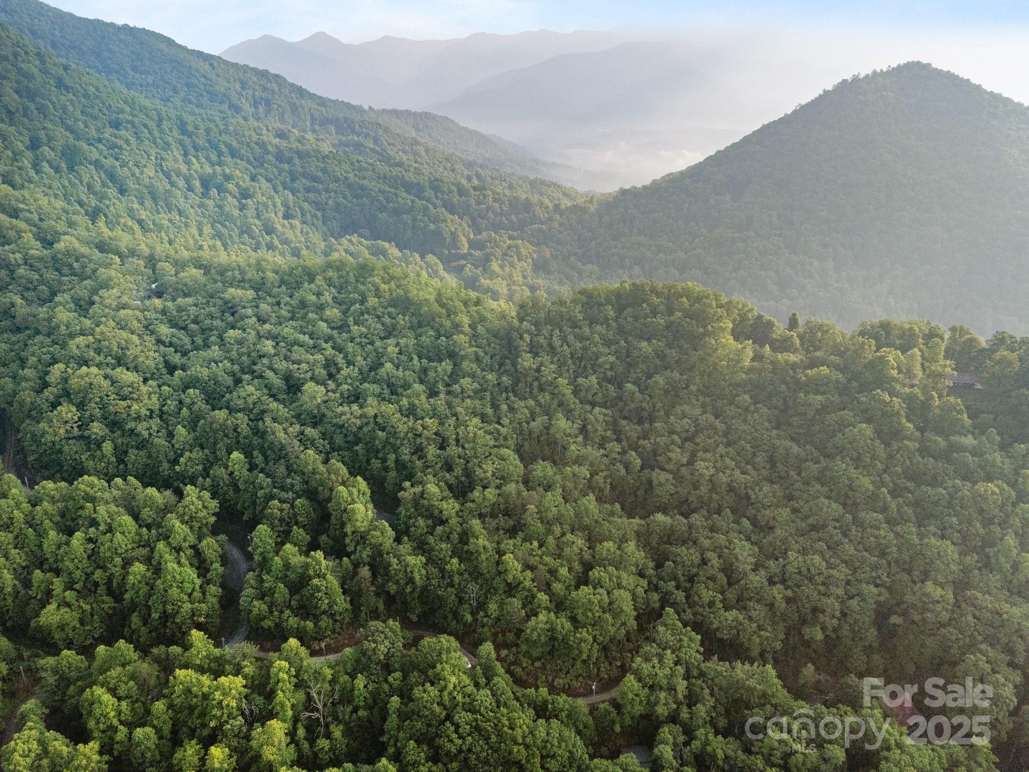 10 Turkey Trot Trail Property Photo 9