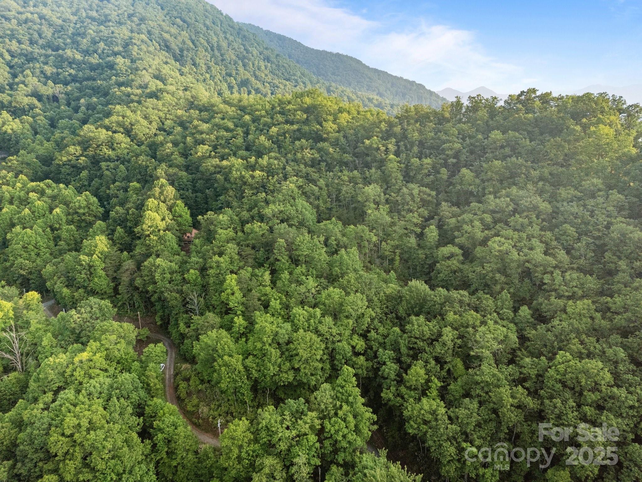 10 Turkey Trot Trail Property Photo 13