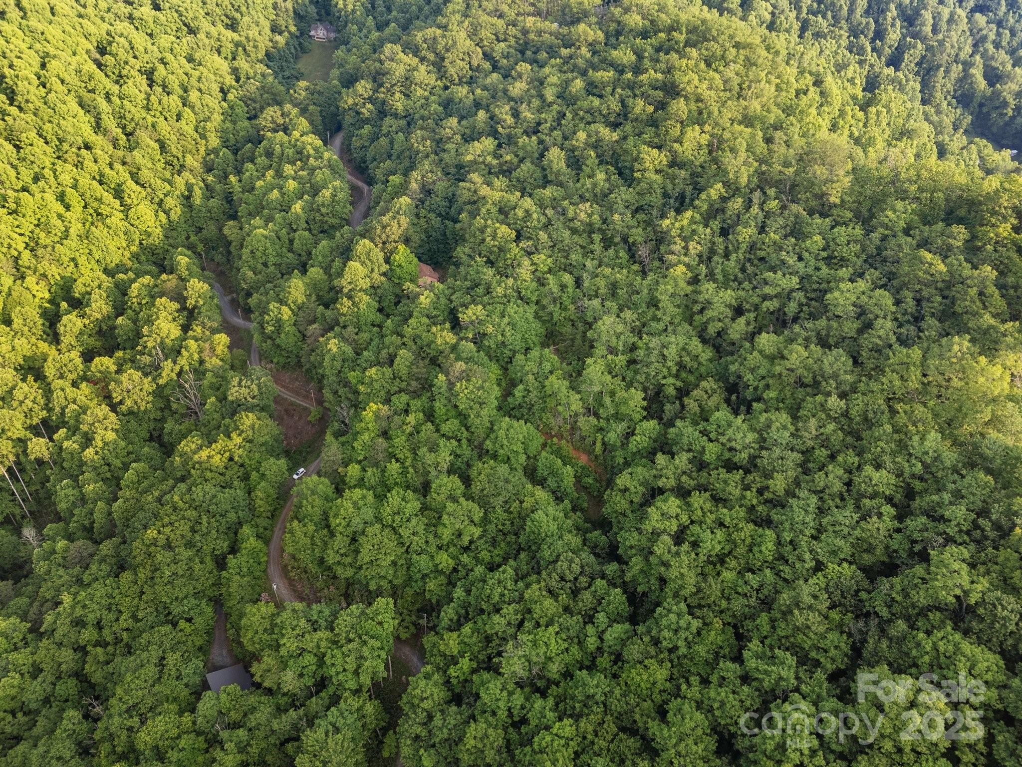 10 Turkey Trot Trail Property Photo 14