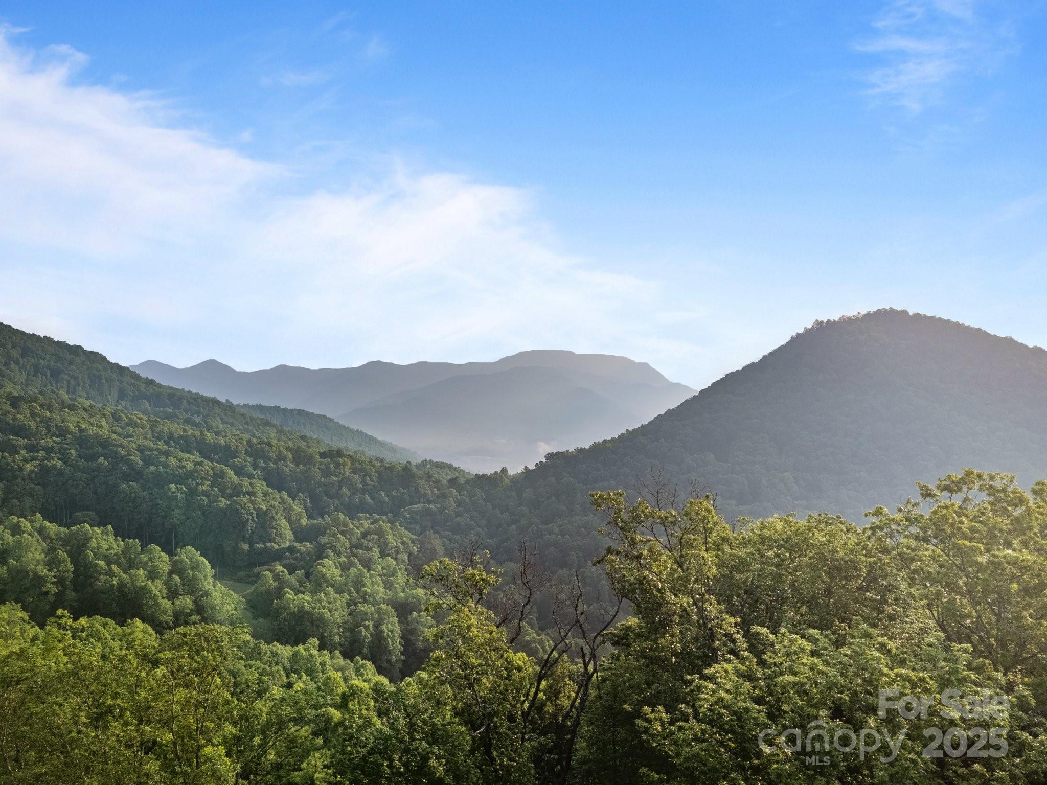 10 Turkey Trot Trail Property Photo 15