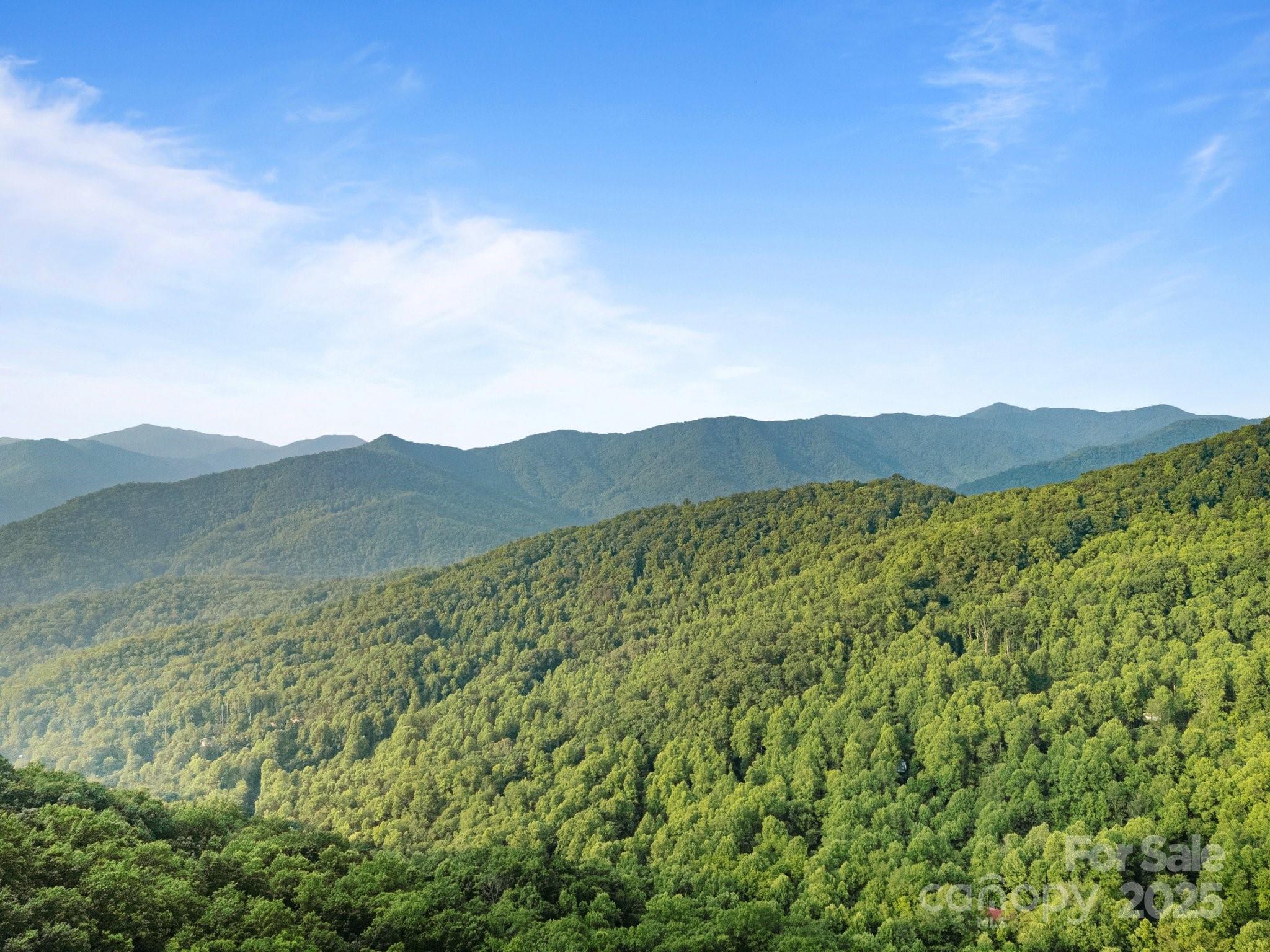 10 Turkey Trot Trail Property Photo 16