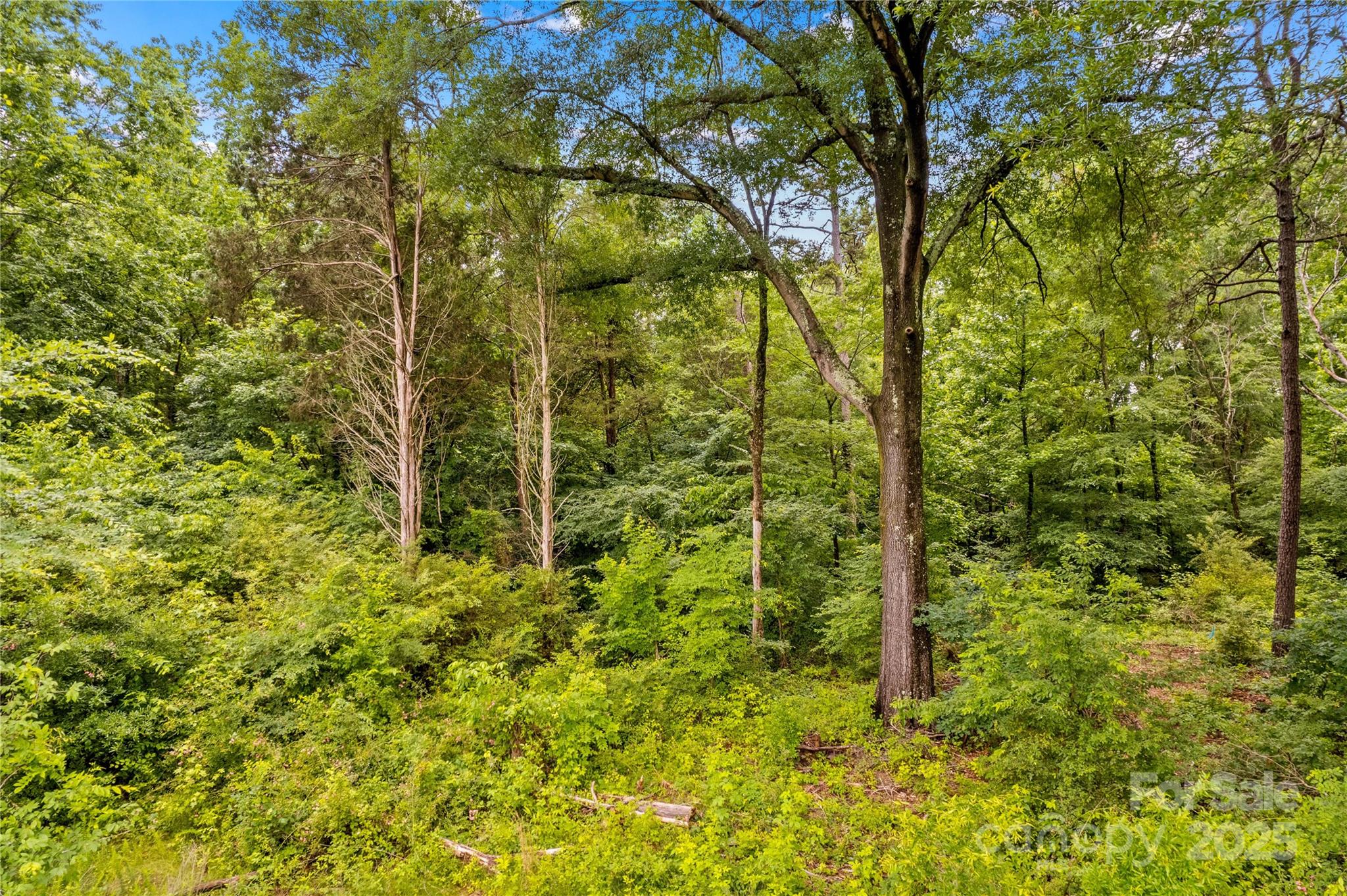 3.24 Ac Sherrills Ford Road Property Photo 15