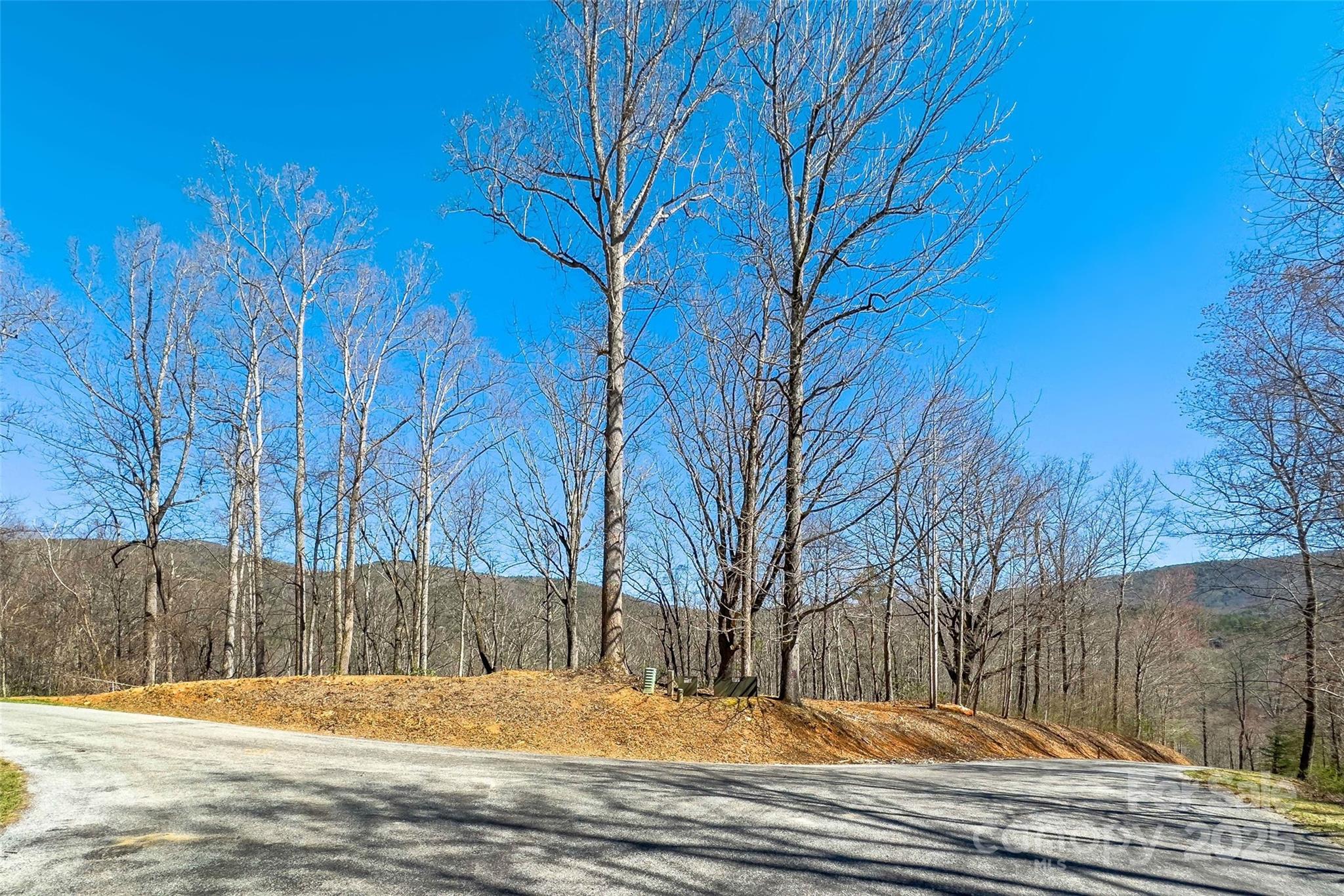 Lot# 158 Hunnicut Mountain Road Property Photo