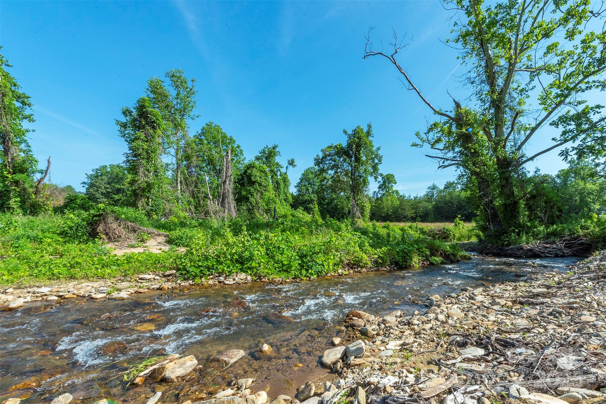 187 Hodges Creek Road Property Photo 3