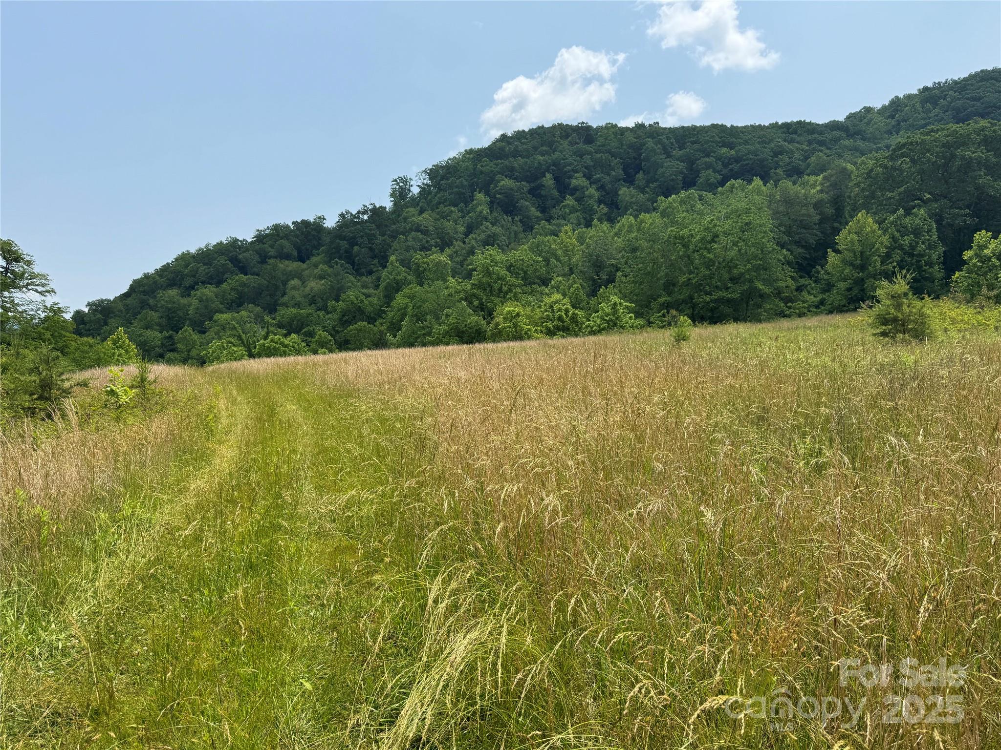 187 Hodges Creek Road Property Photo 9