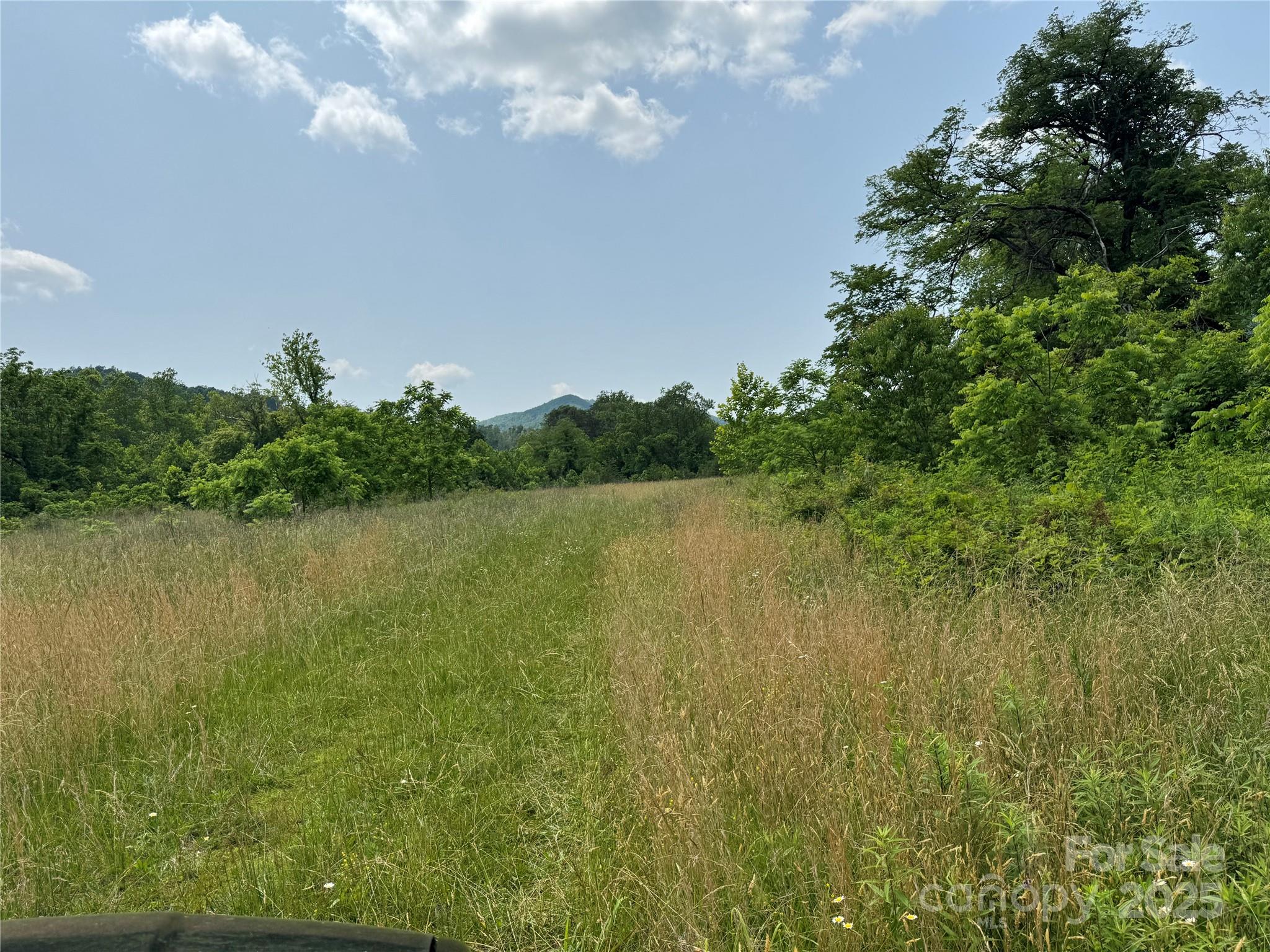 187 Hodges Creek Road Property Photo 10