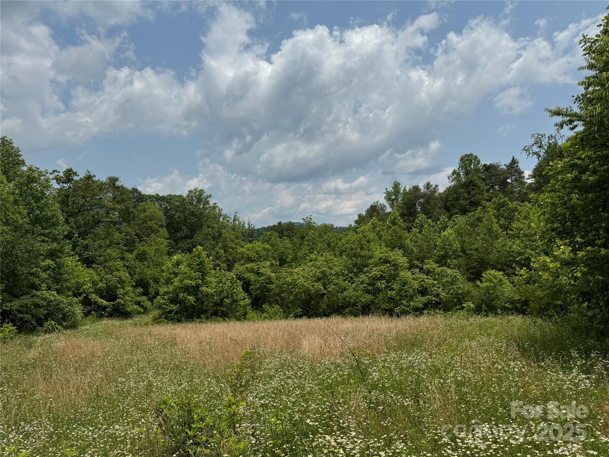 187 Hodges Creek Road Property Photo 11