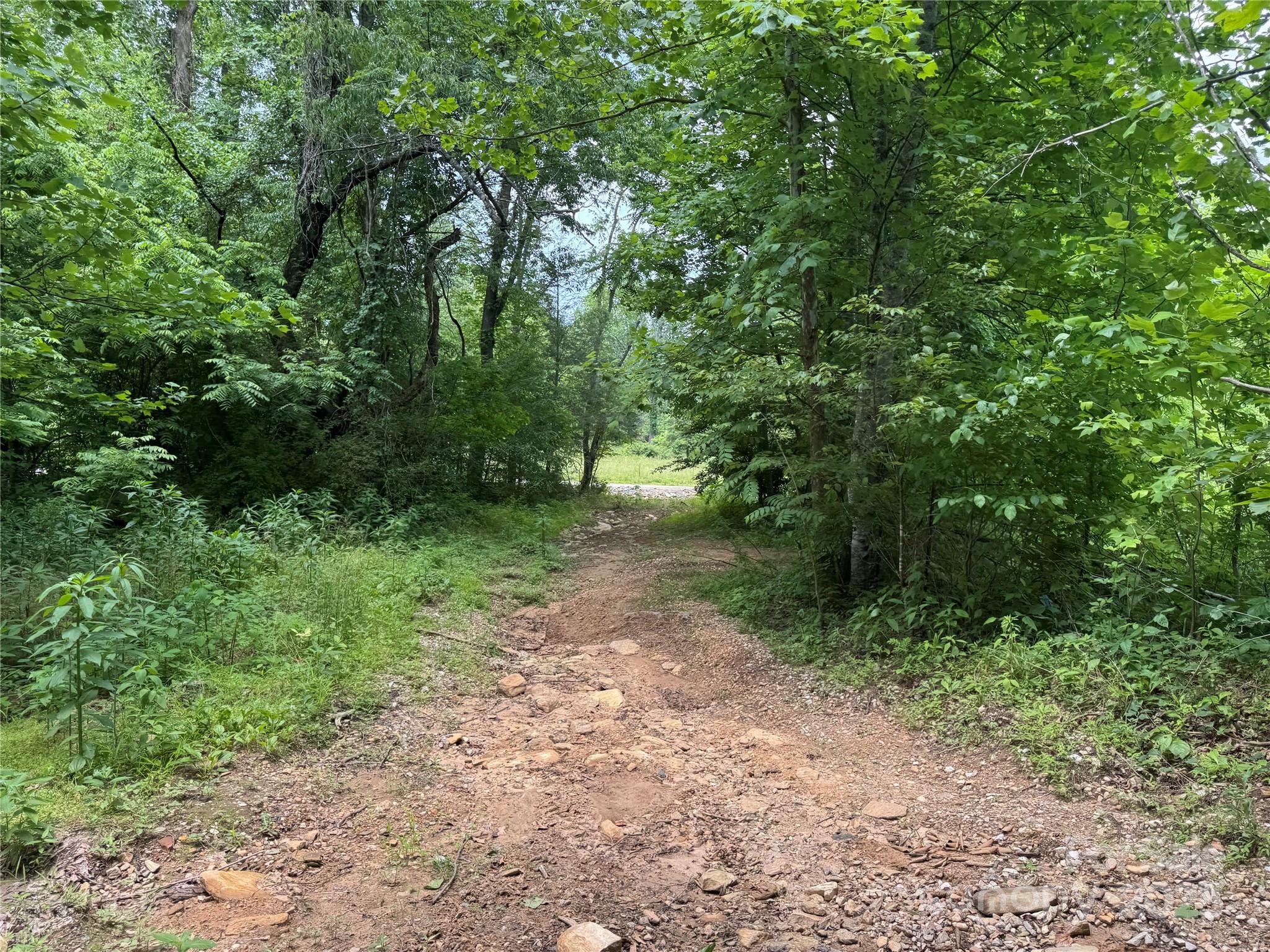 187 Hodges Creek Road Property Photo 13