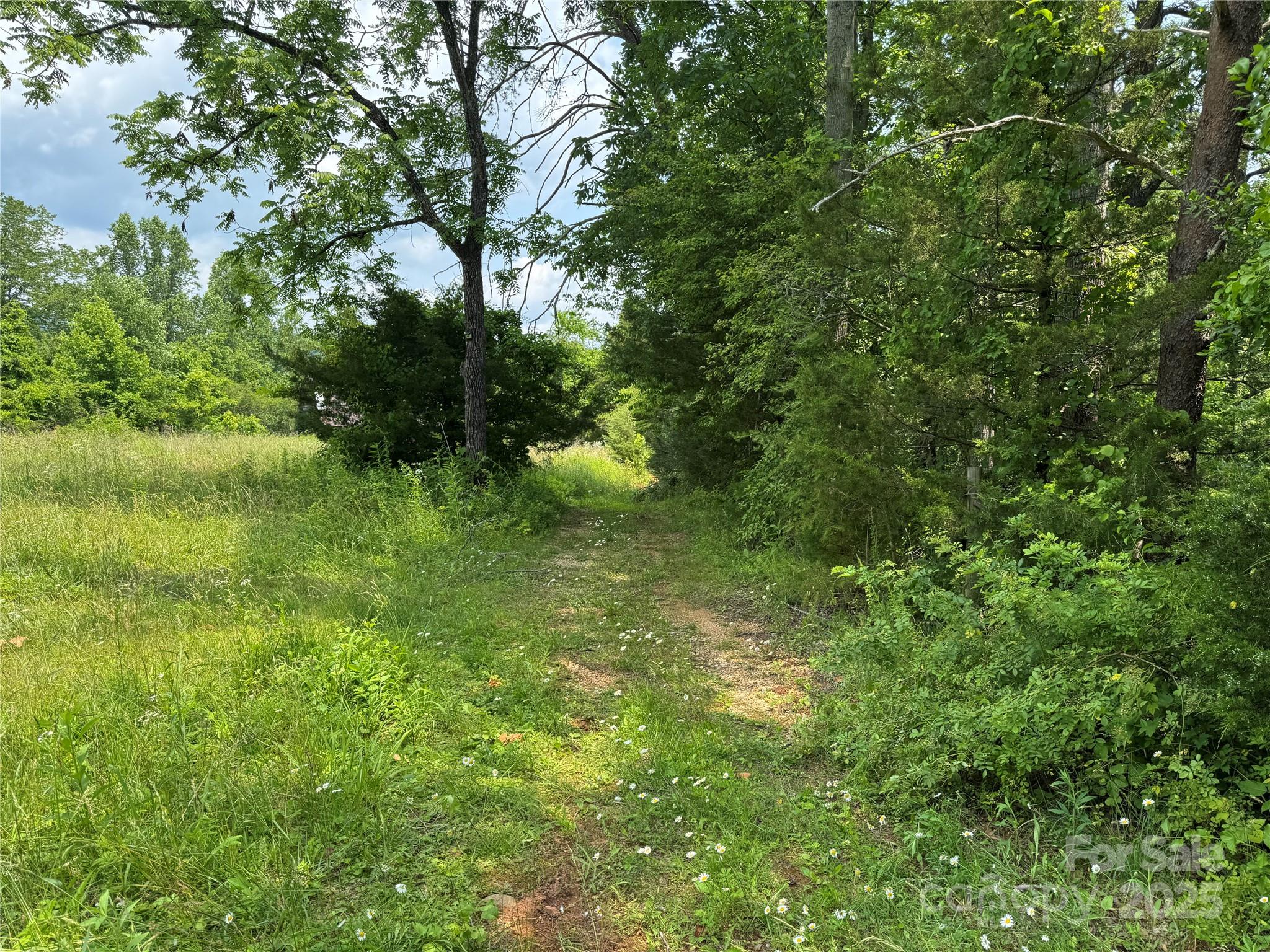 187 Hodges Creek Road Property Photo 17