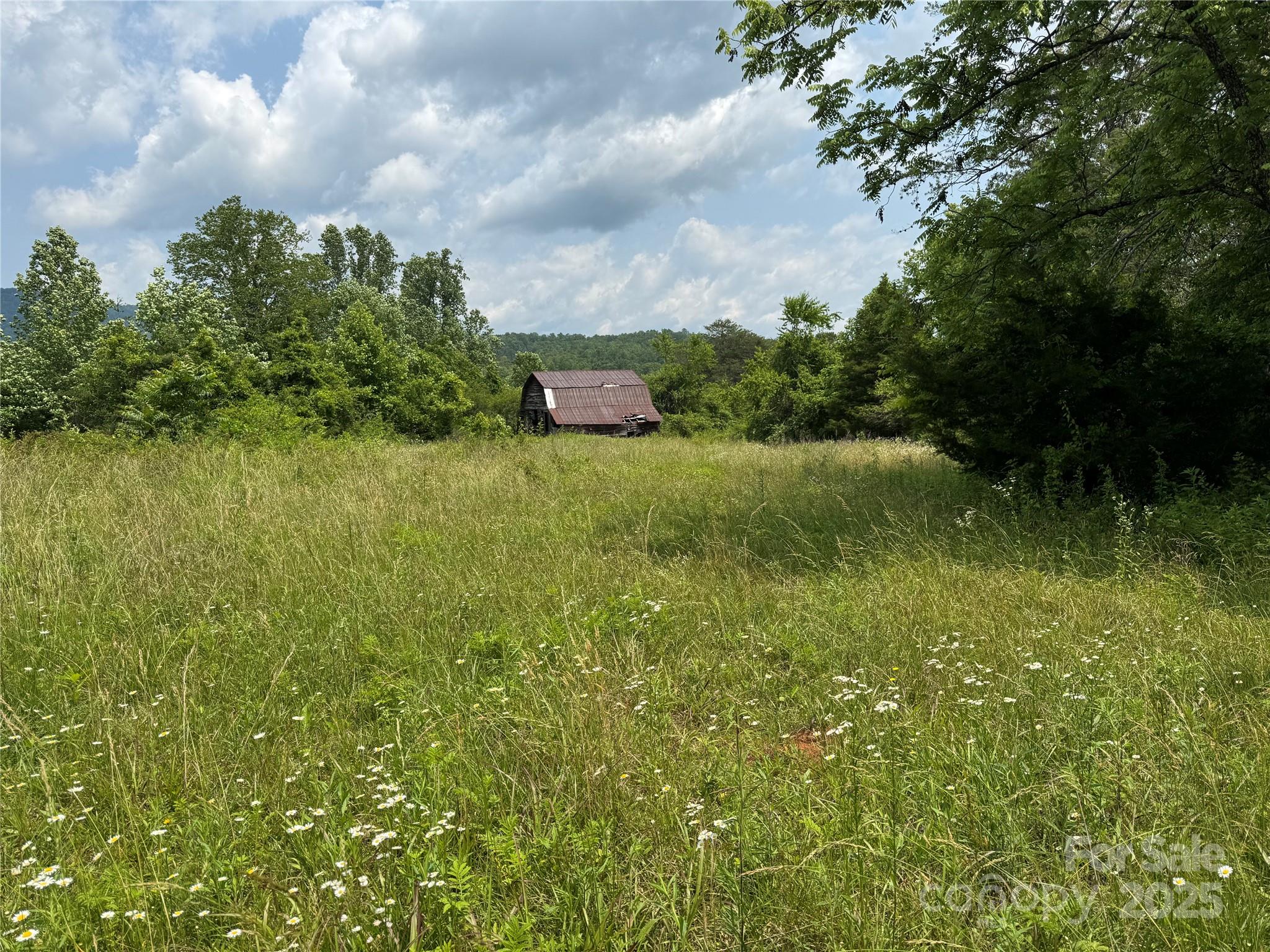 187 Hodges Creek Road Property Photo 18