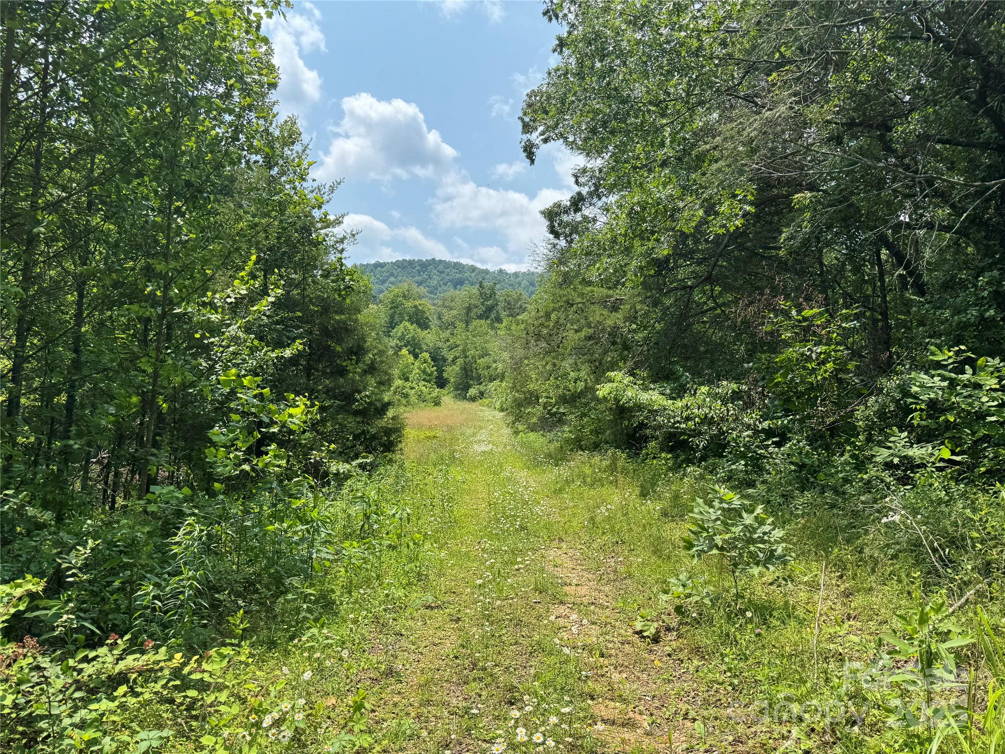 187 Hodges Creek Road Property Photo 23