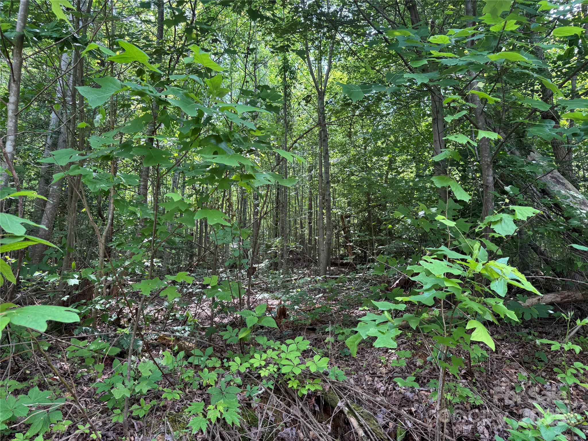 187 Hodges Creek Road Property Photo 25