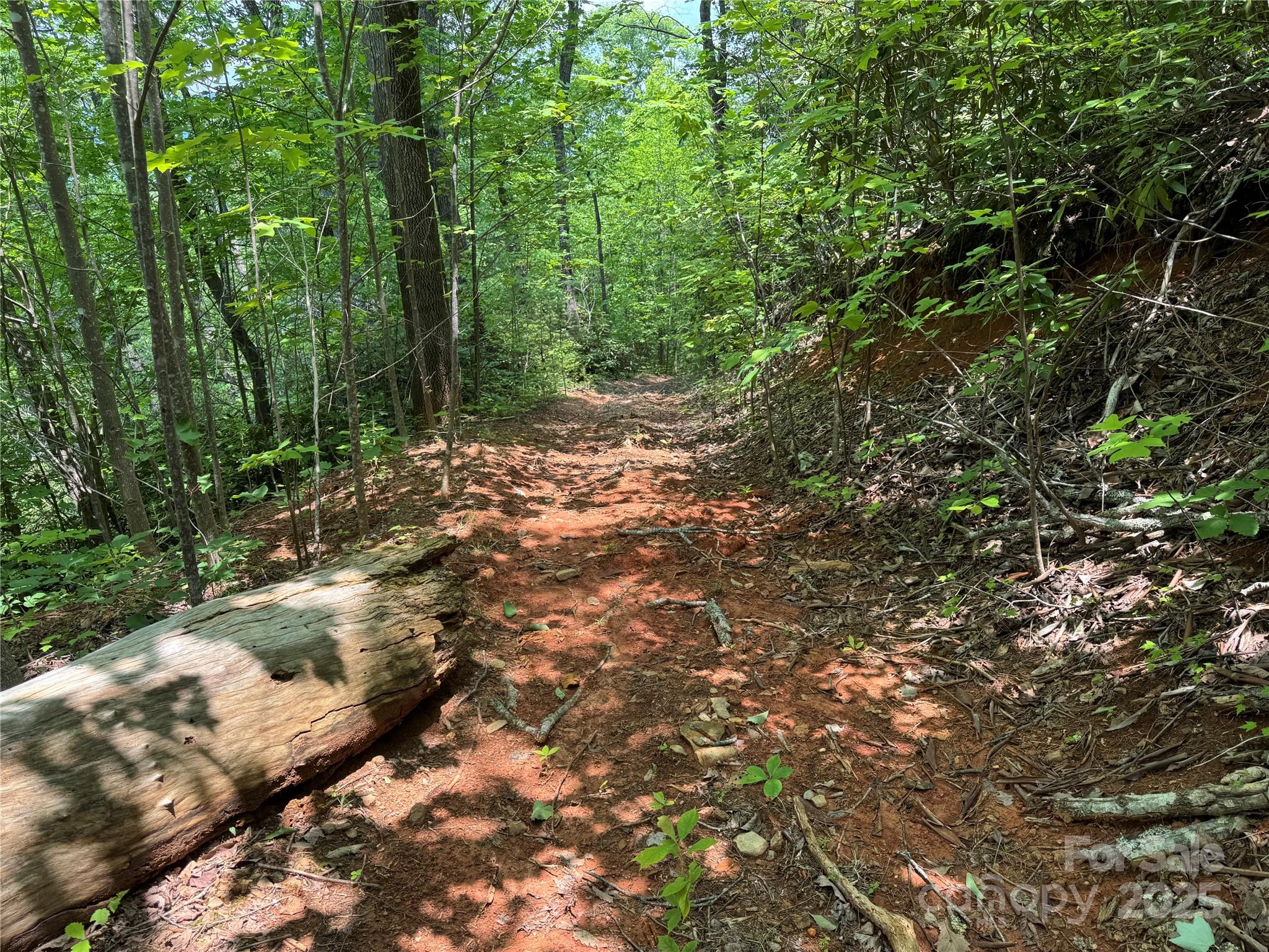 187 Hodges Creek Road Property Photo 29