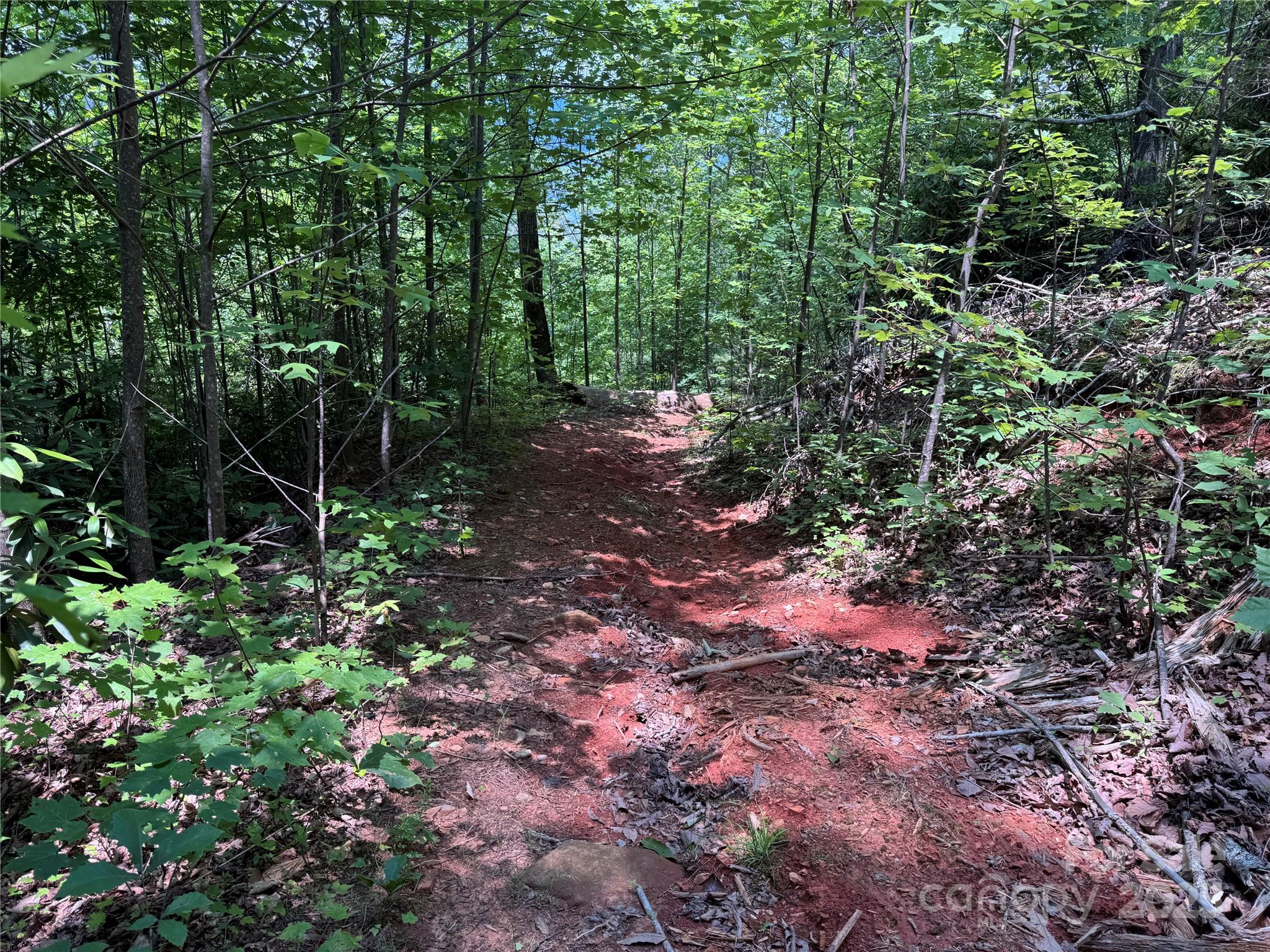 187 Hodges Creek Road Property Photo 30