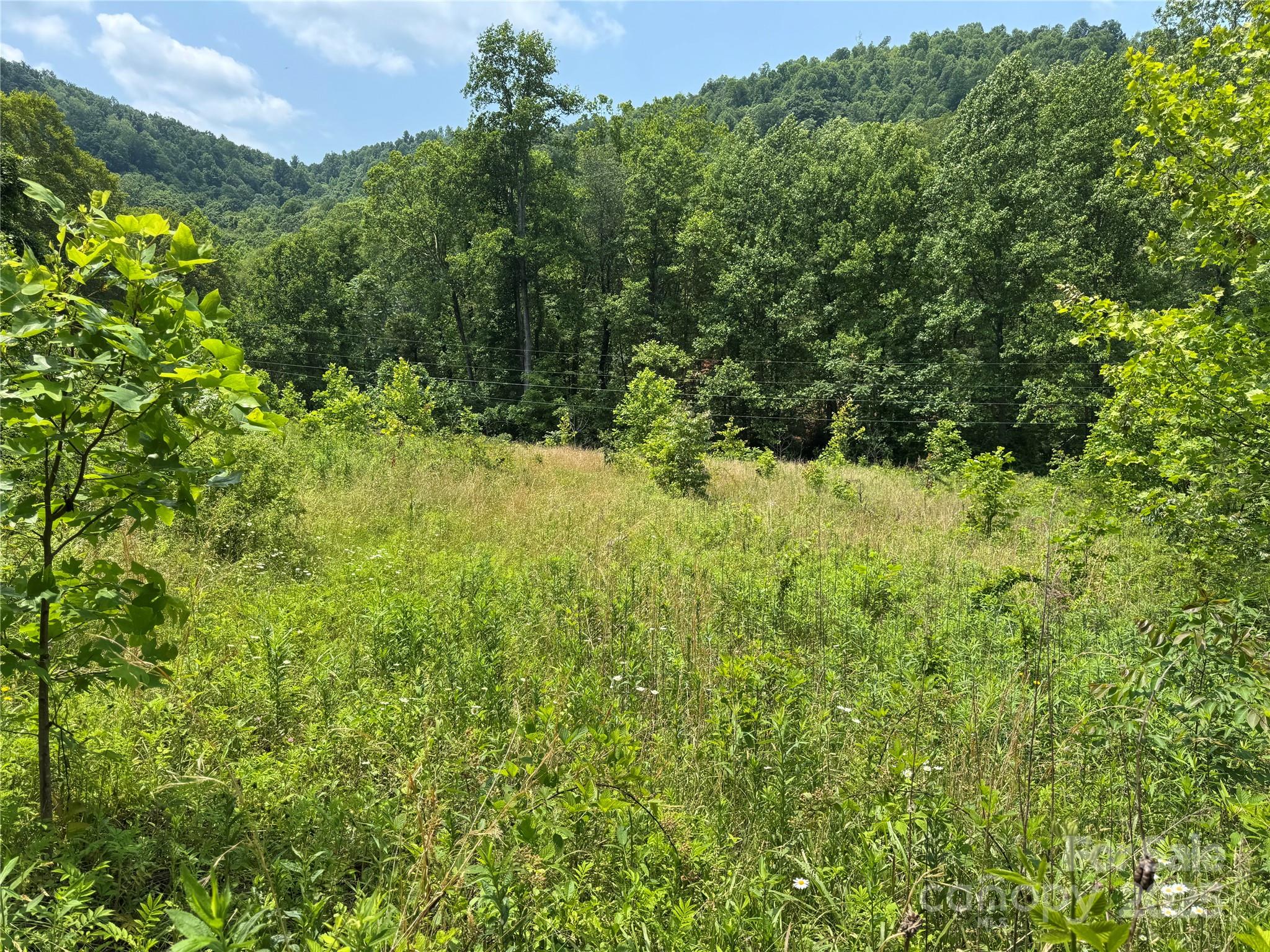 187 Hodges Creek Road Property Photo 32