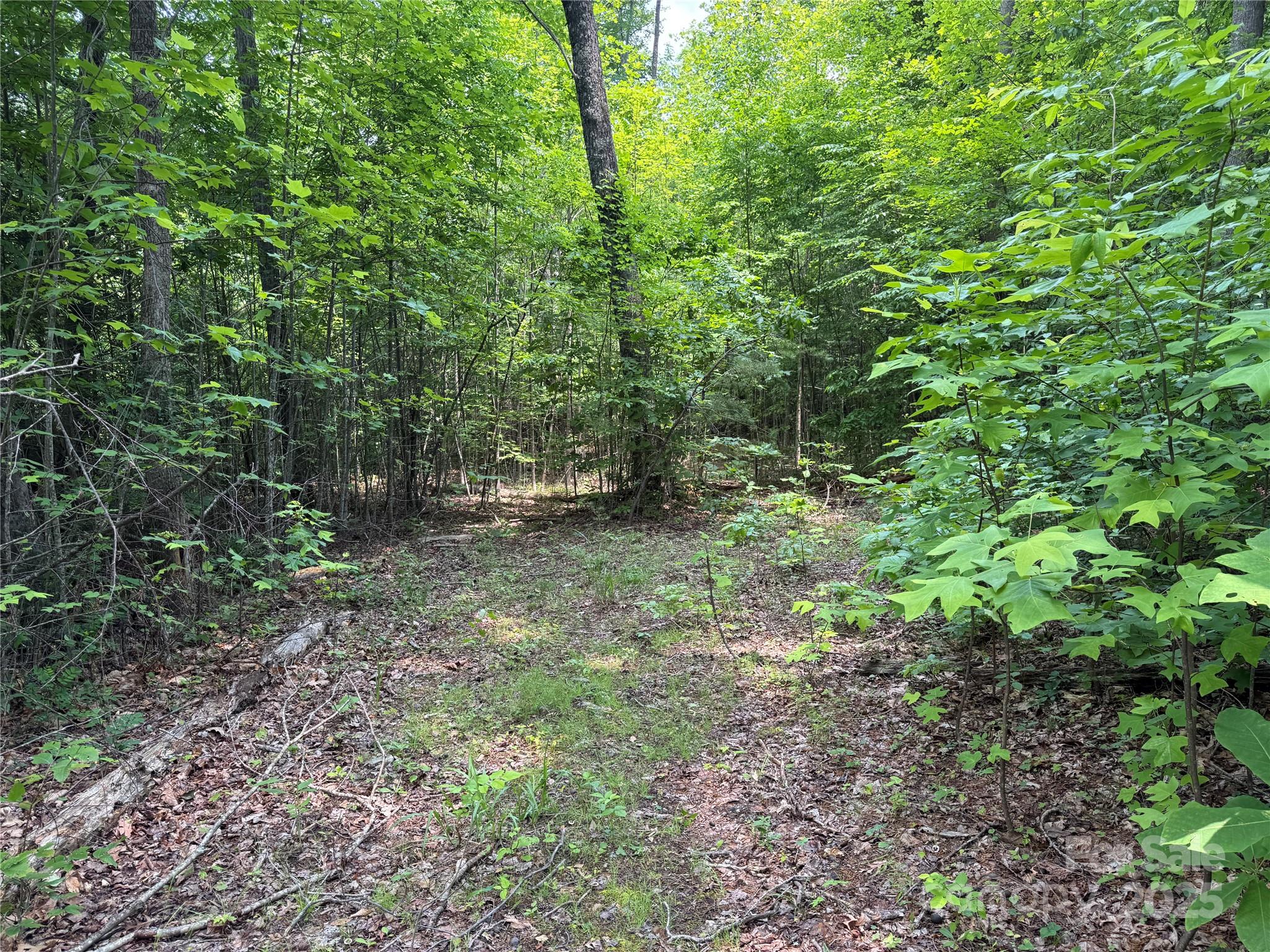 187 Hodges Creek Road Property Photo 33