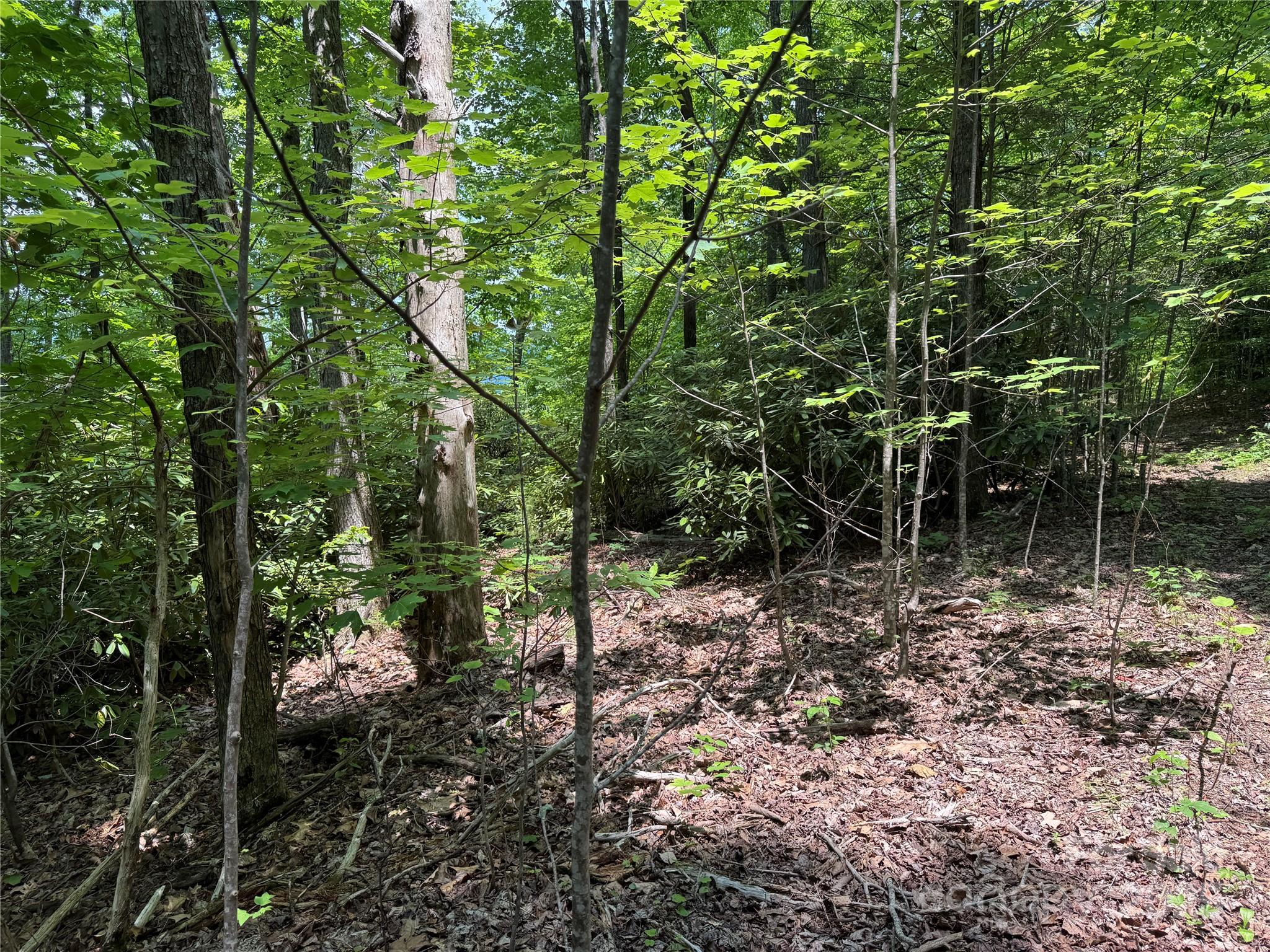 187 Hodges Creek Road Property Photo 34