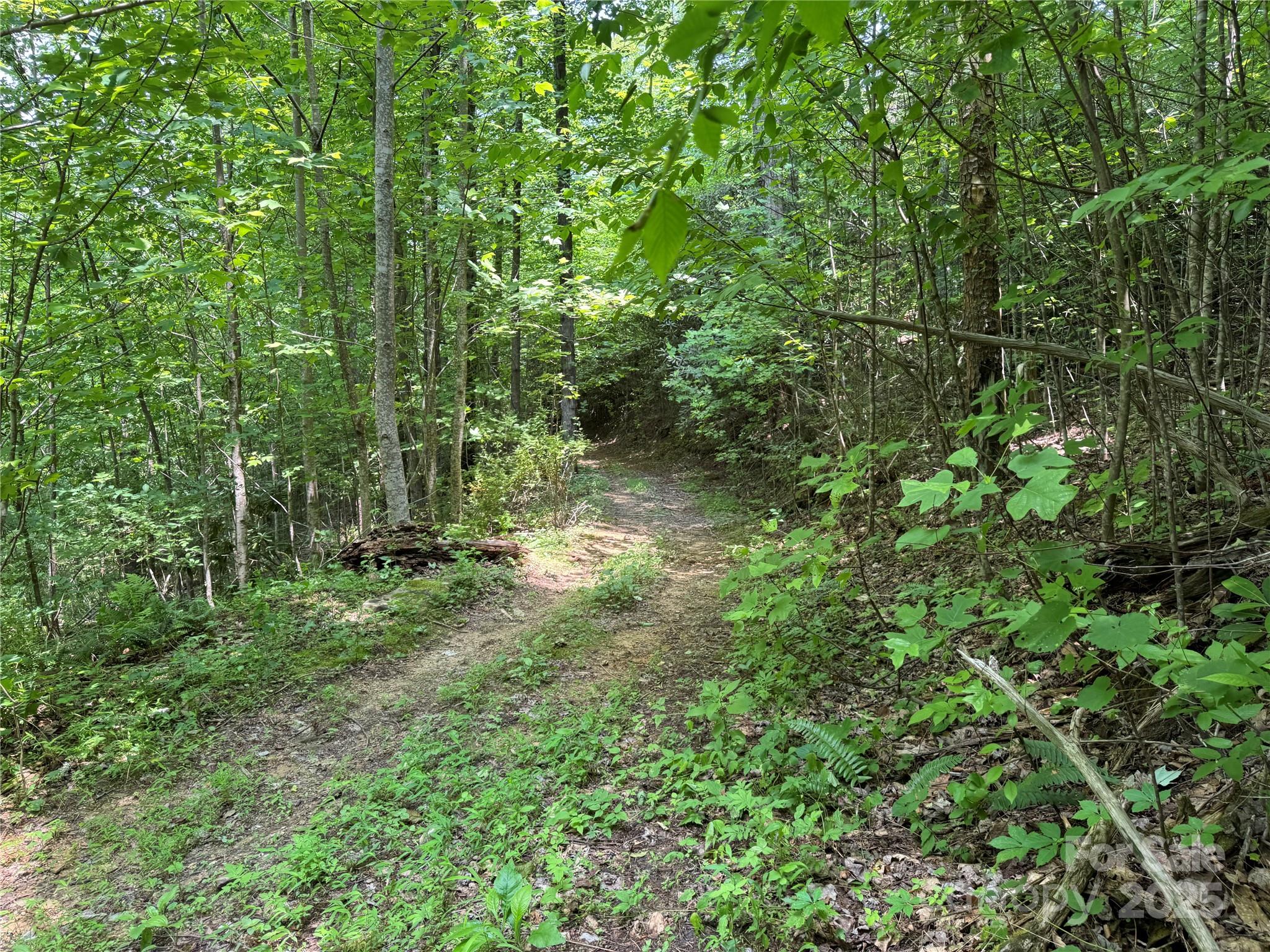 187 Hodges Creek Road Property Photo 35