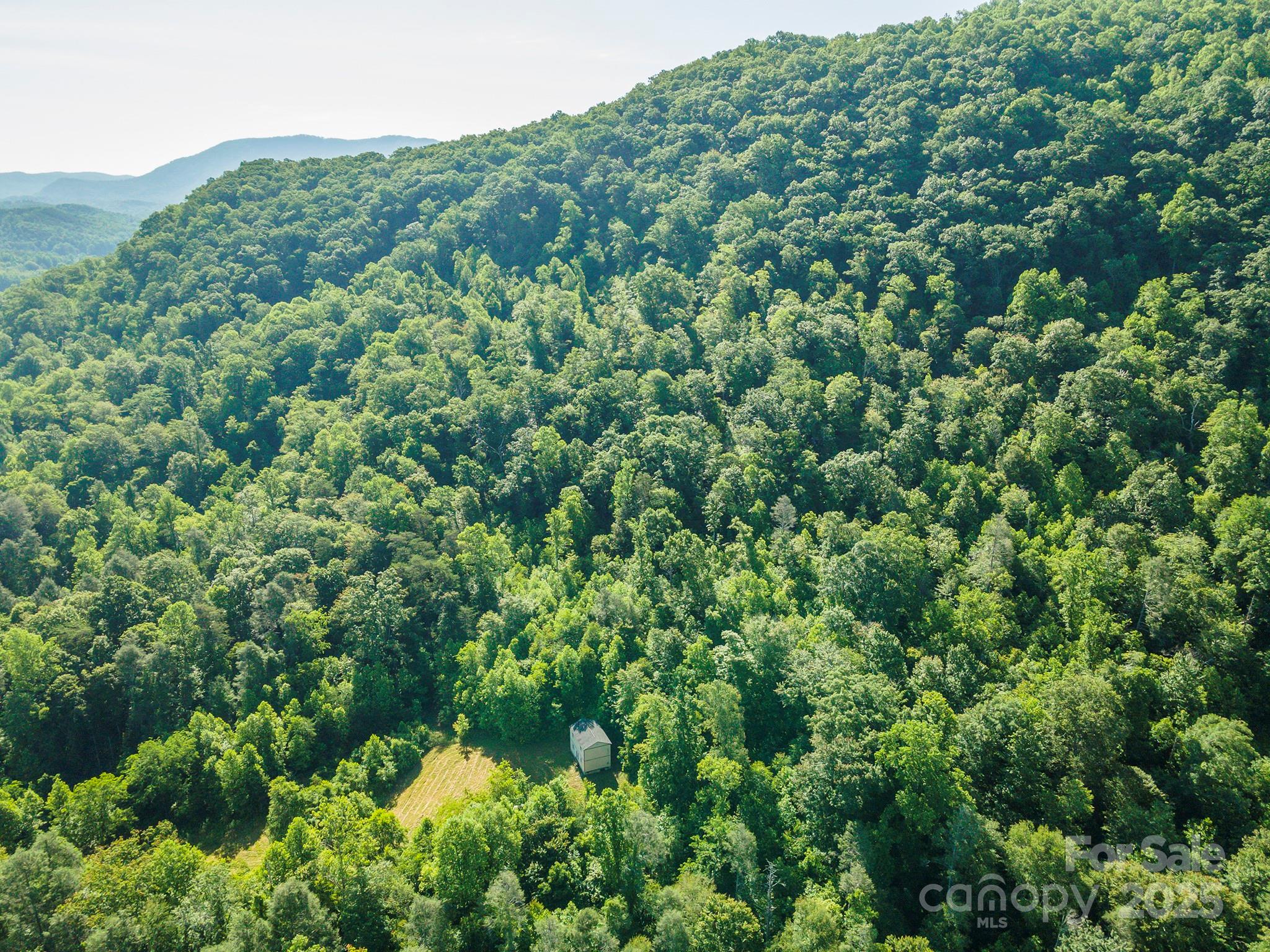 187 Hodges Creek Road Property Photo 40