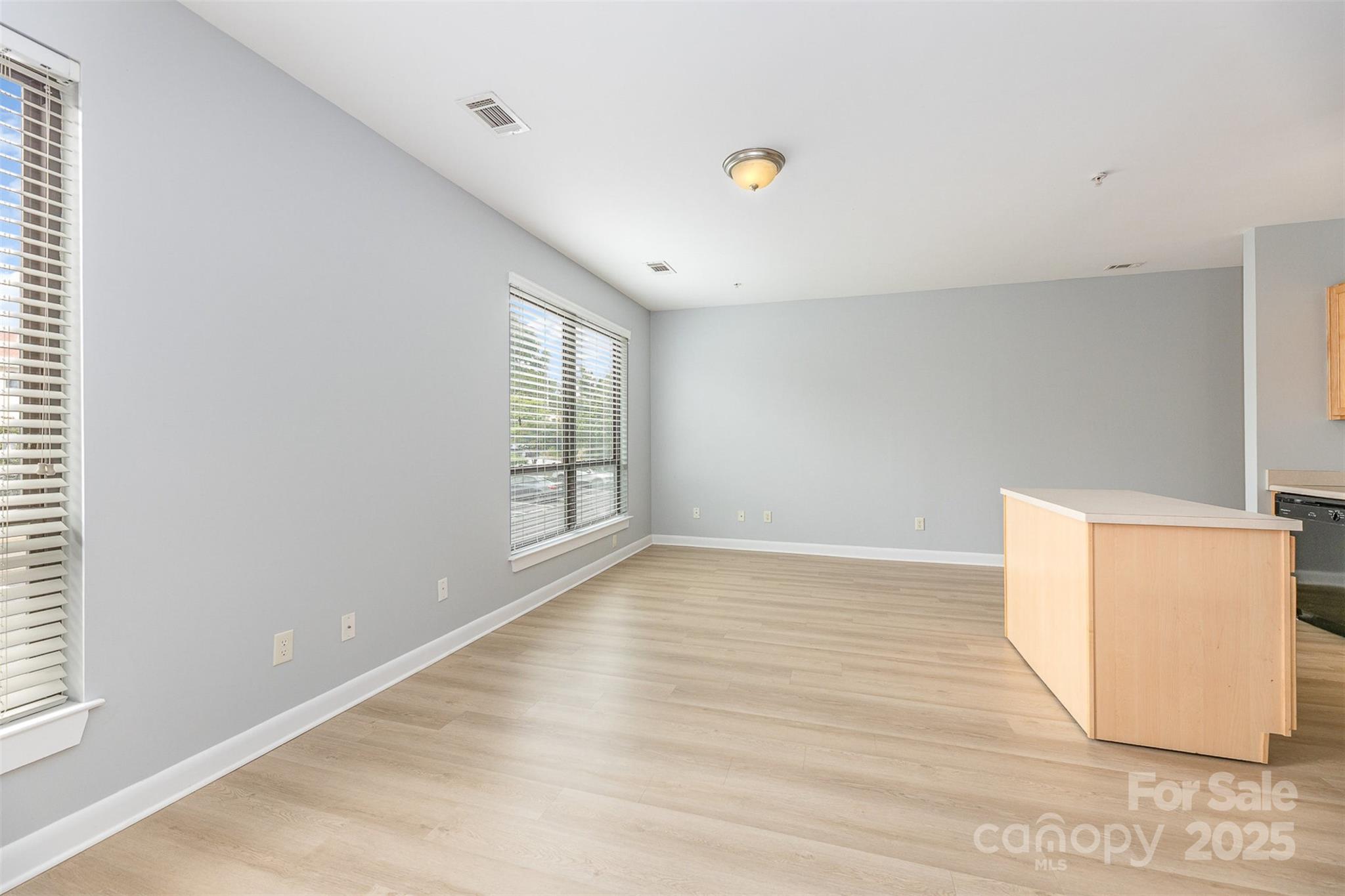 411 W Washington Street Property Photo 7