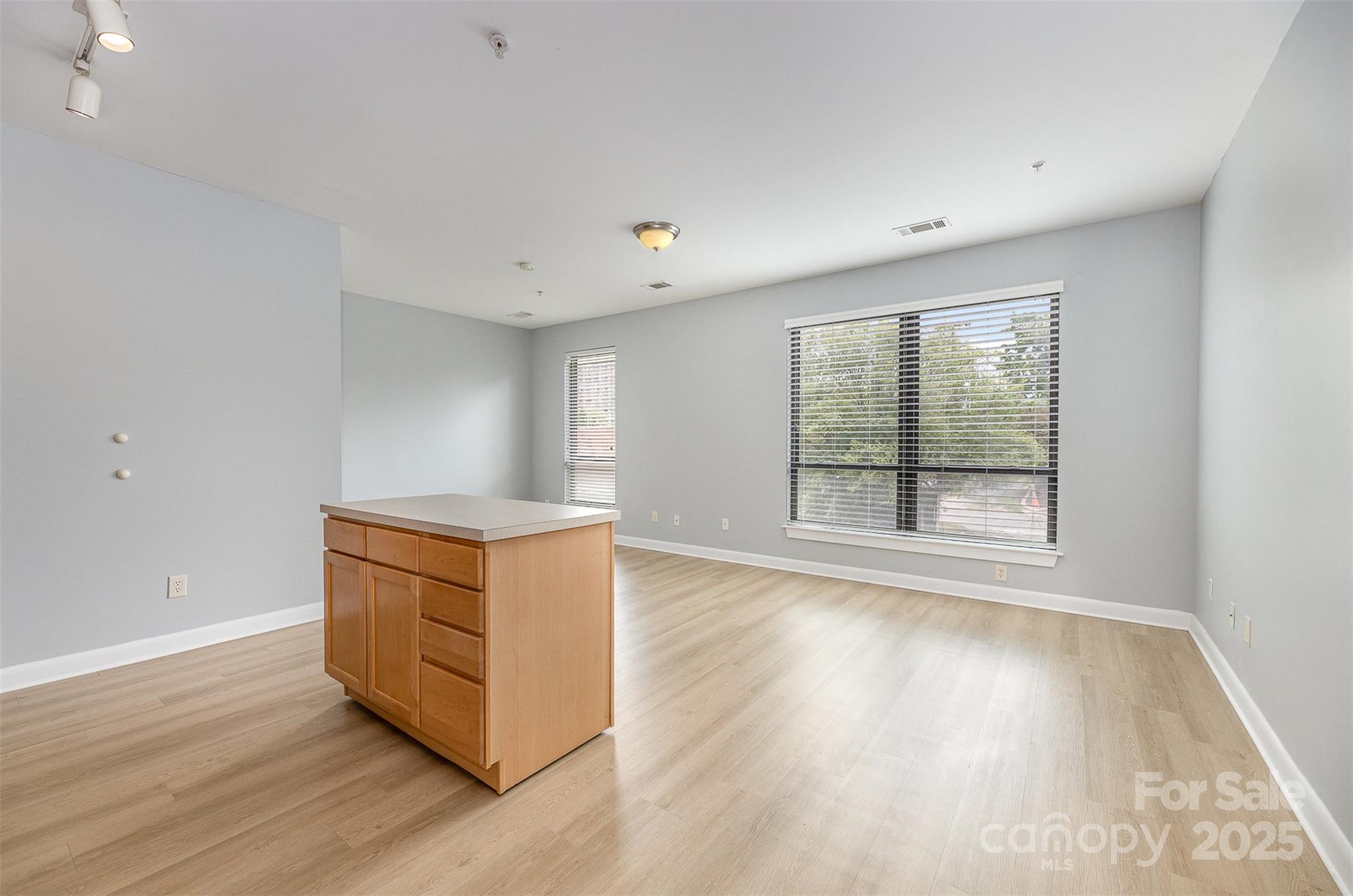 411 W Washington Street Property Photo 9