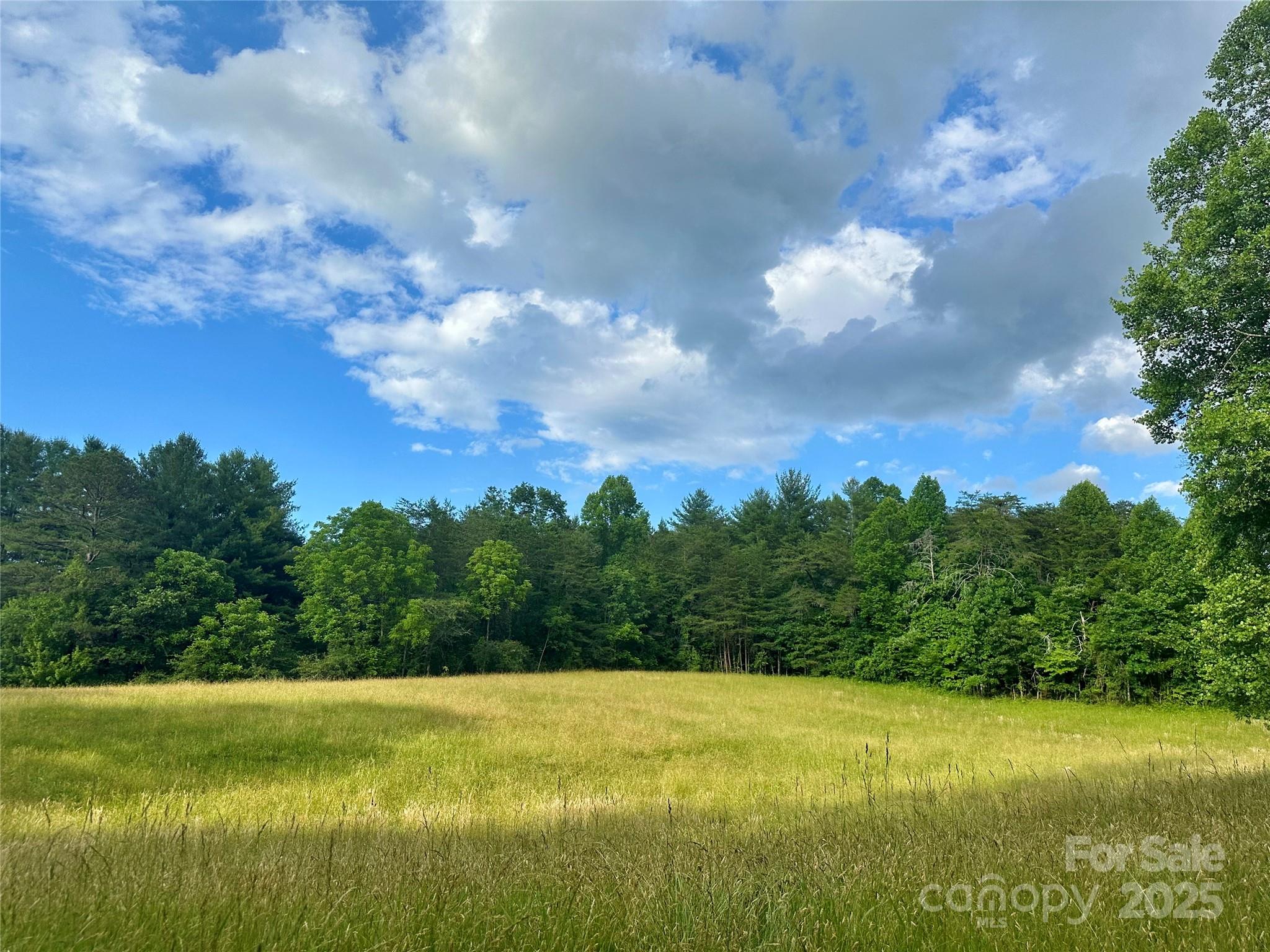99999 Jenkins Valley Road Property Photo 1
