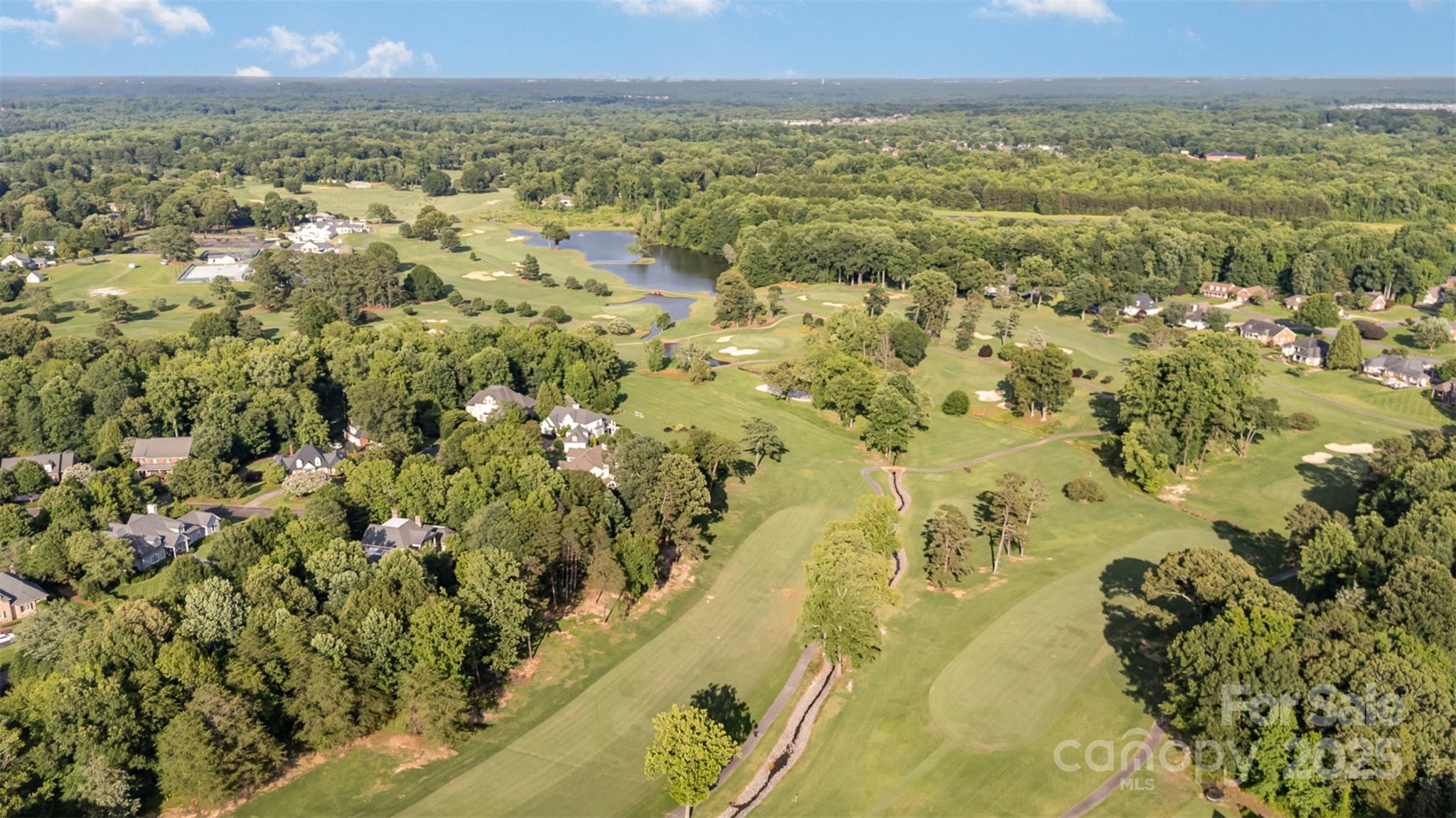 3441 Club Ridge Court Property Photo 48