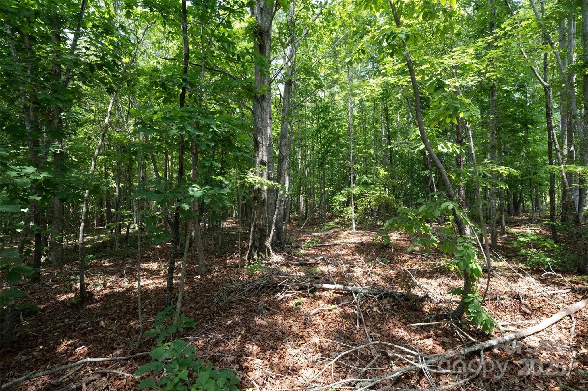 Tbd Catawba Valley Boulevard 7-31 Property Photo 12