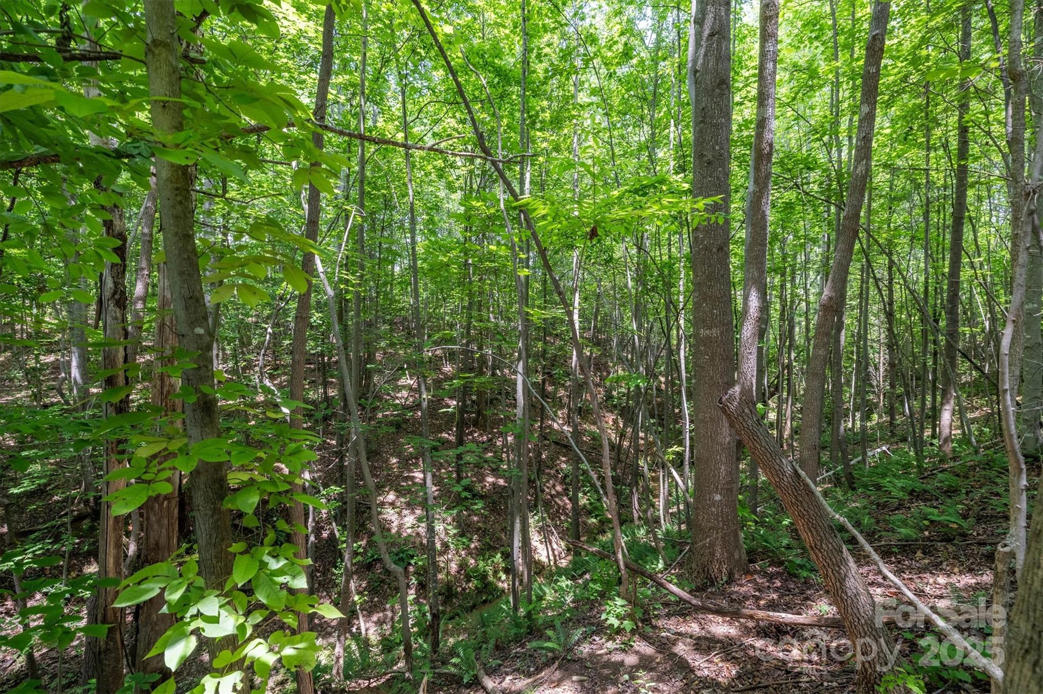 Tbd Catawba Valley Boulevard 7-31 Property Photo 14