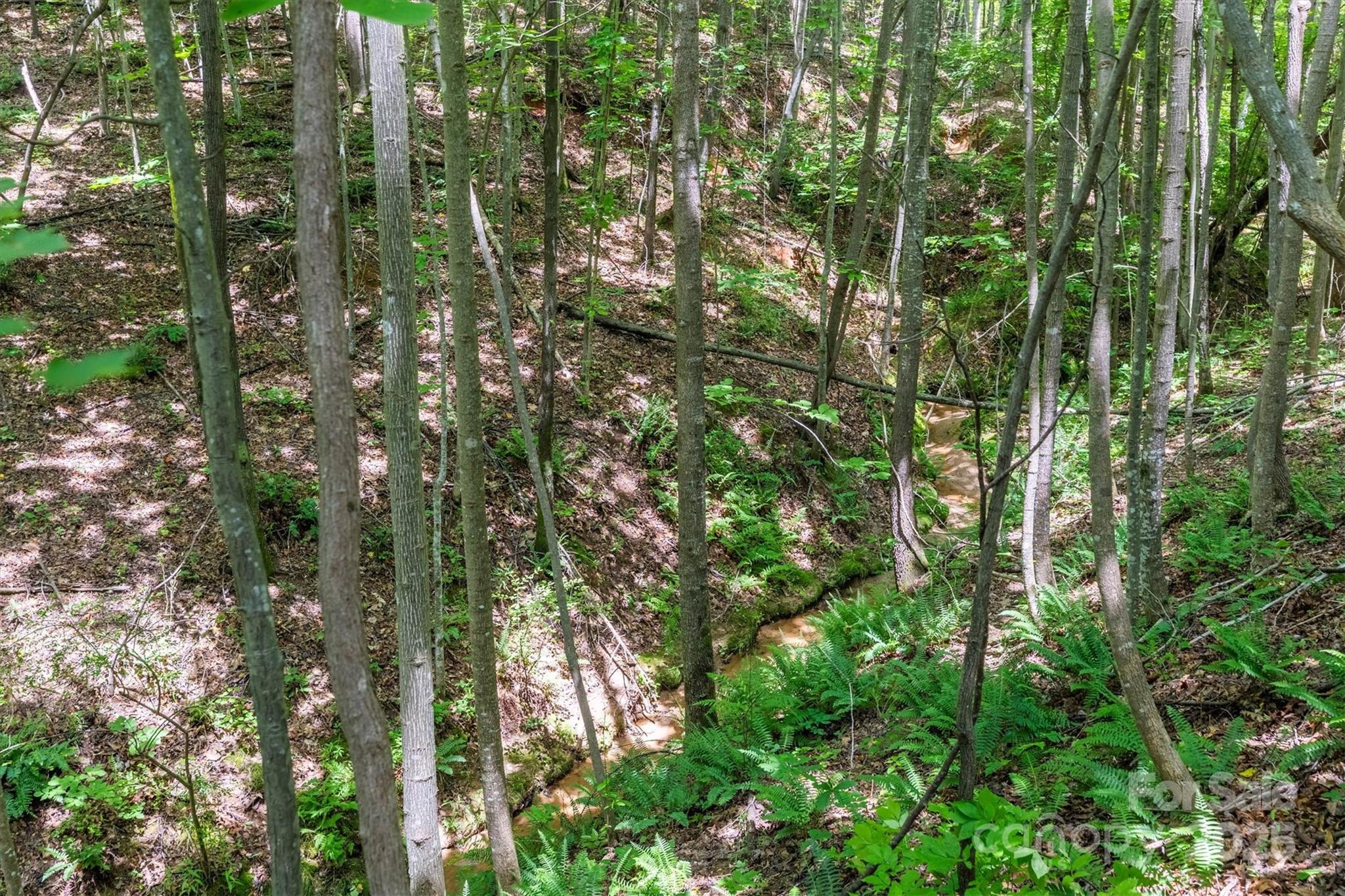 Tbd Catawba Valley Boulevard 7-31 Property Photo 15