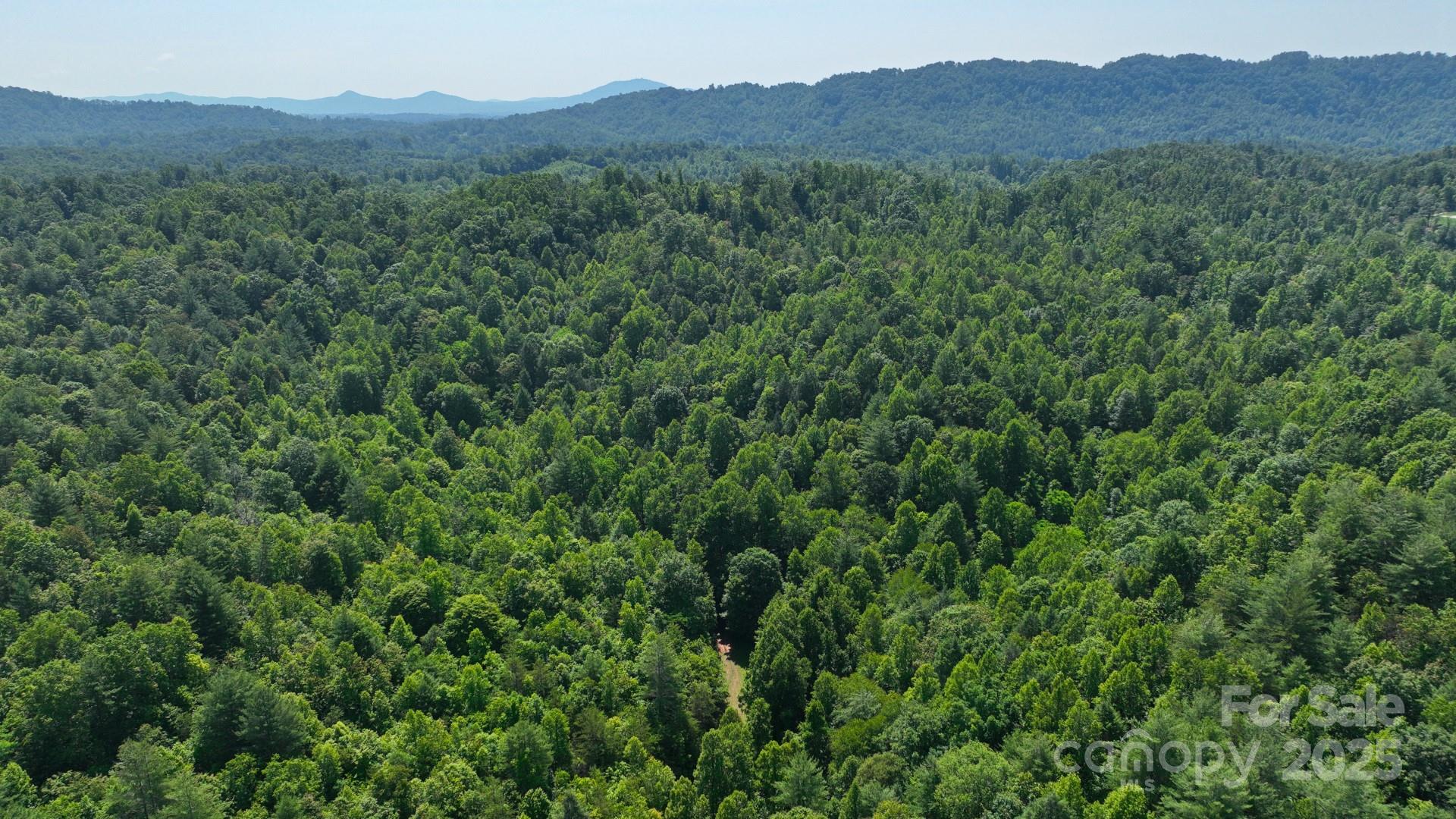 2967 & 2941 Roby Martin Road Property Photo 28