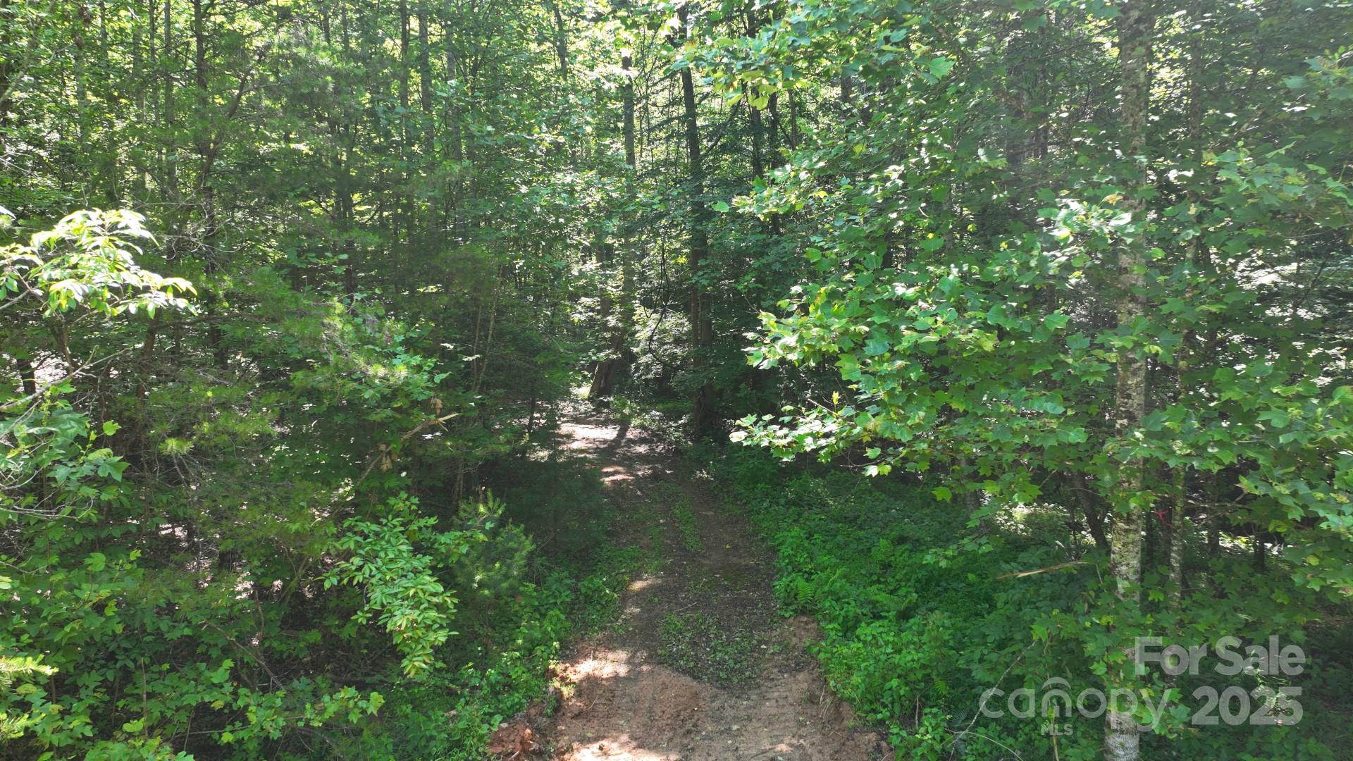 2967 & 2941 Roby Martin Road Property Photo 30