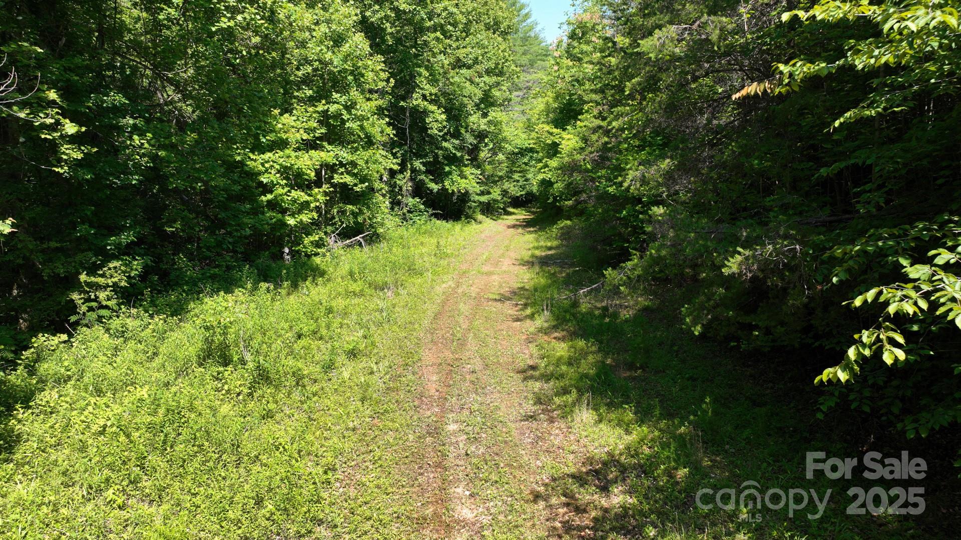 2967 & 2941 Roby Martin Road Property Photo 31