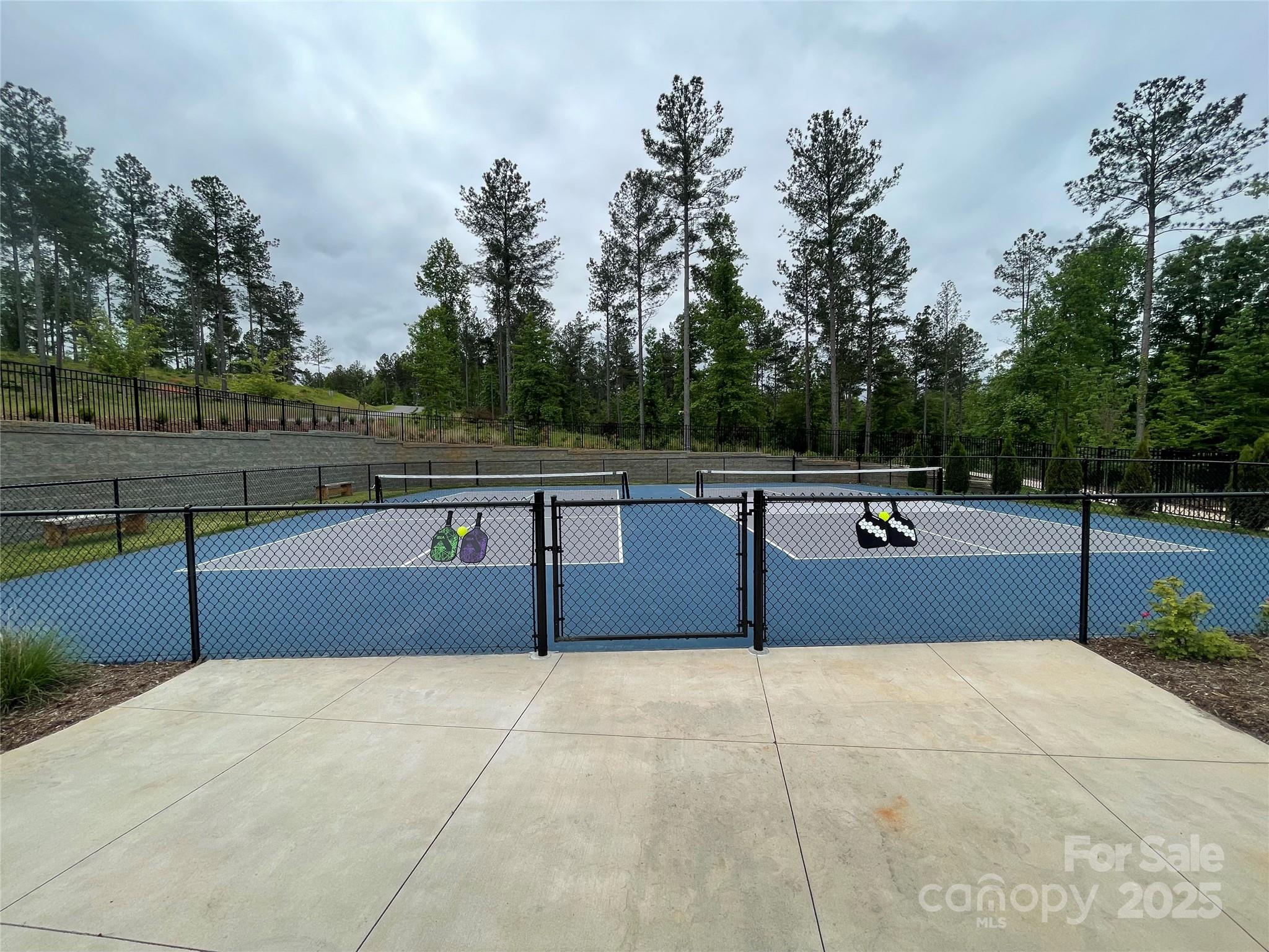 2143 & 2157 Castle Peak Mountain None 143, 144 Property Photo 16