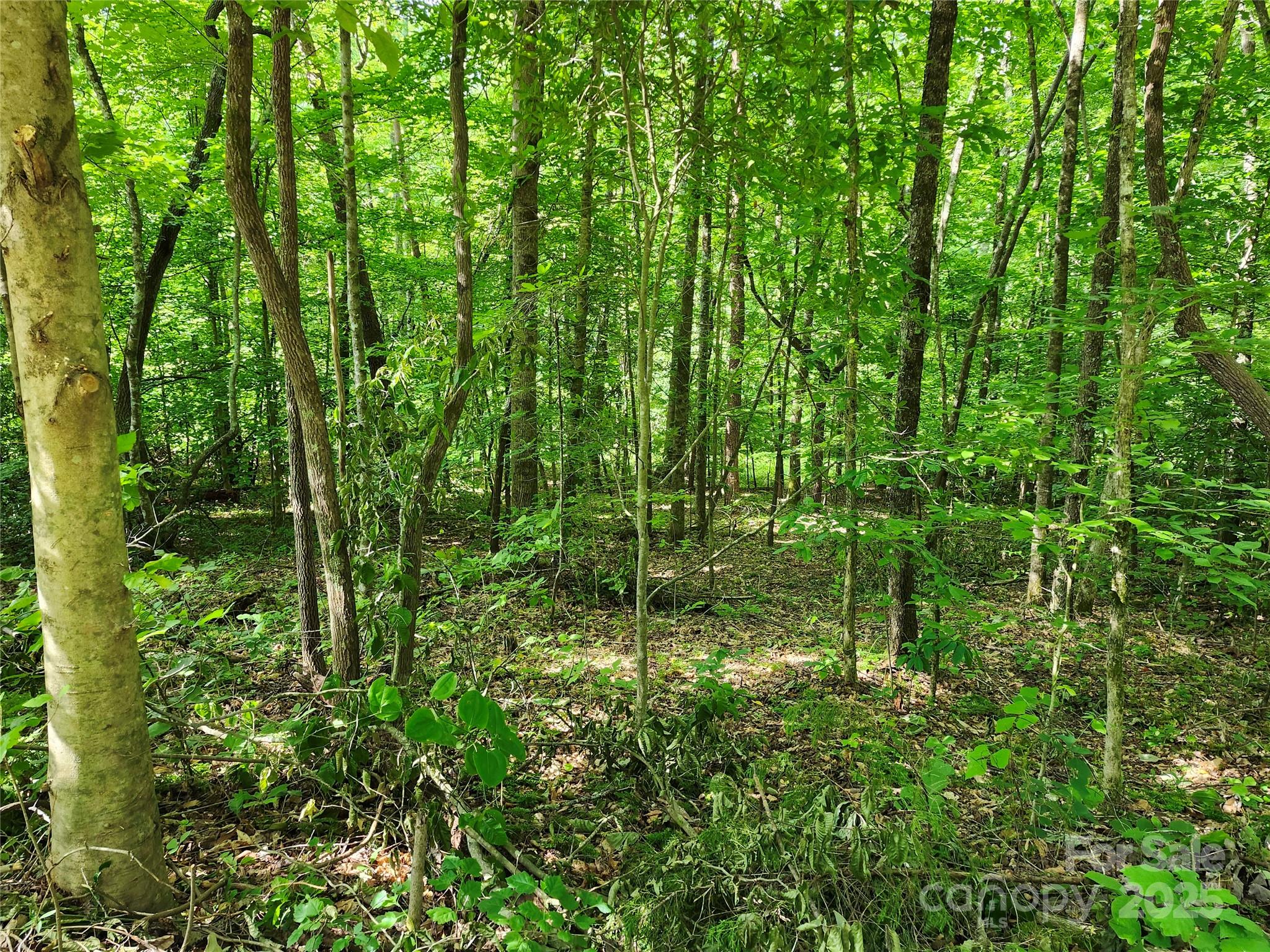 0000 Hayes Road 67 Property Photo 1