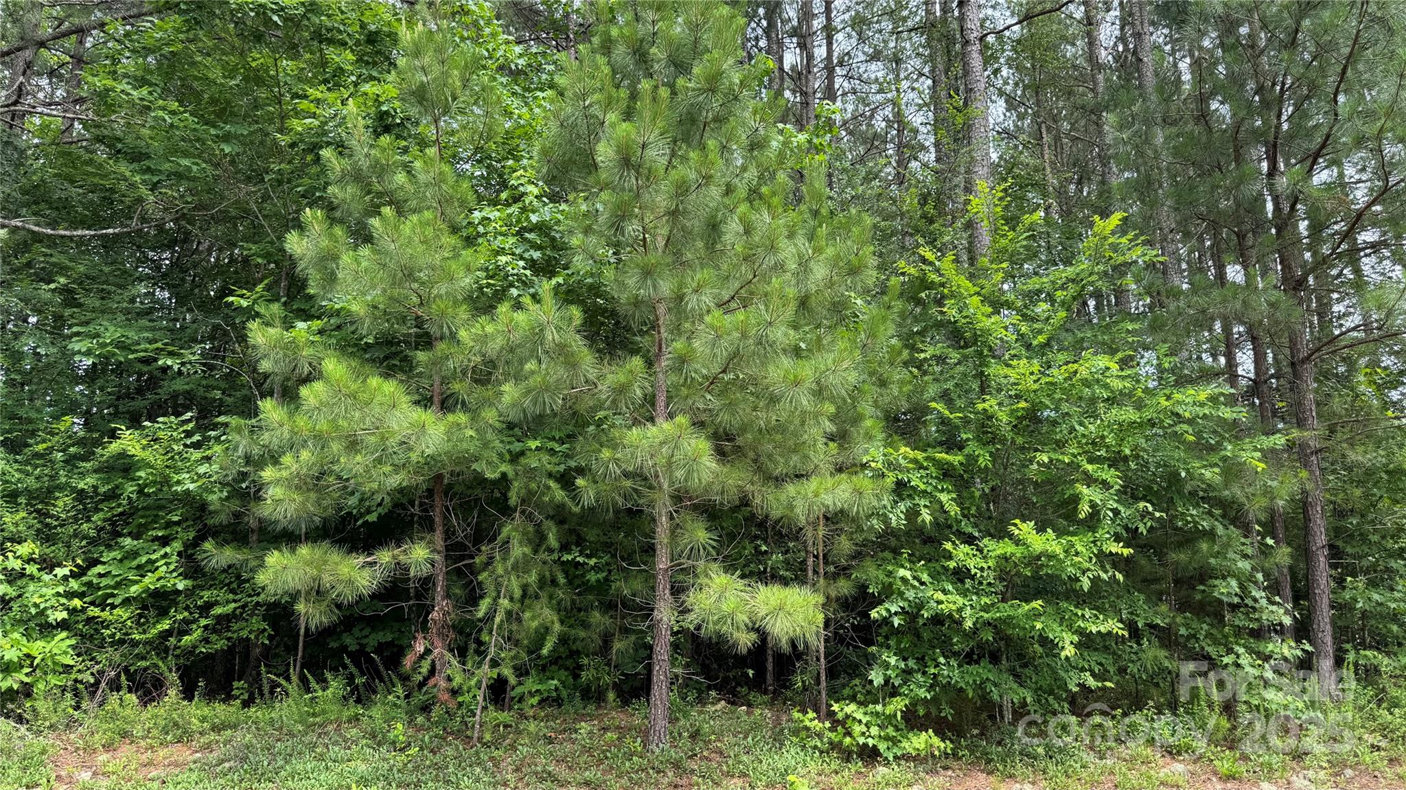 1053 Inlet Pointe Road 30 Property Photo 5