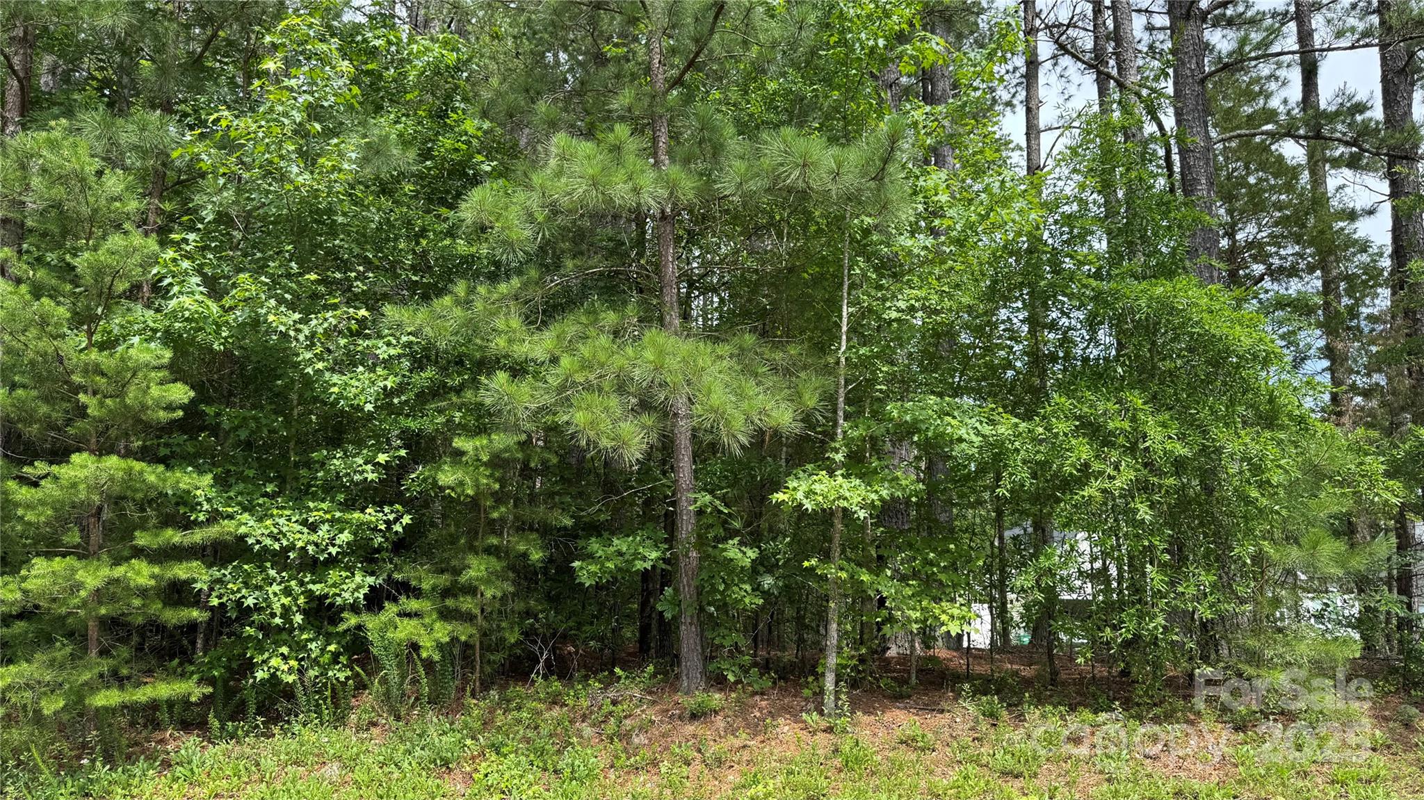 1053 Inlet Pointe Road 30 Property Photo 6