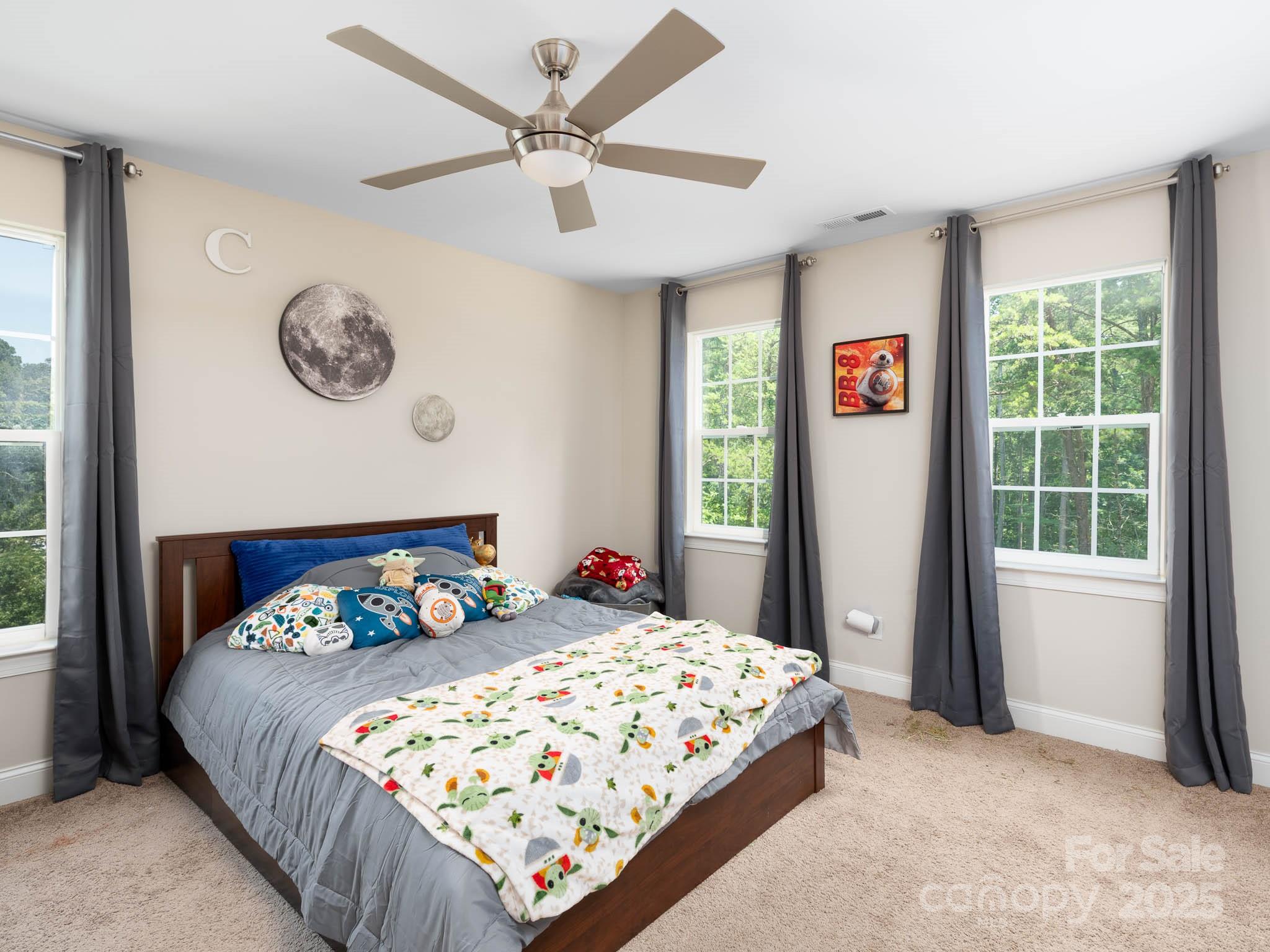 4237 Island Fox Lane Property Photo 29