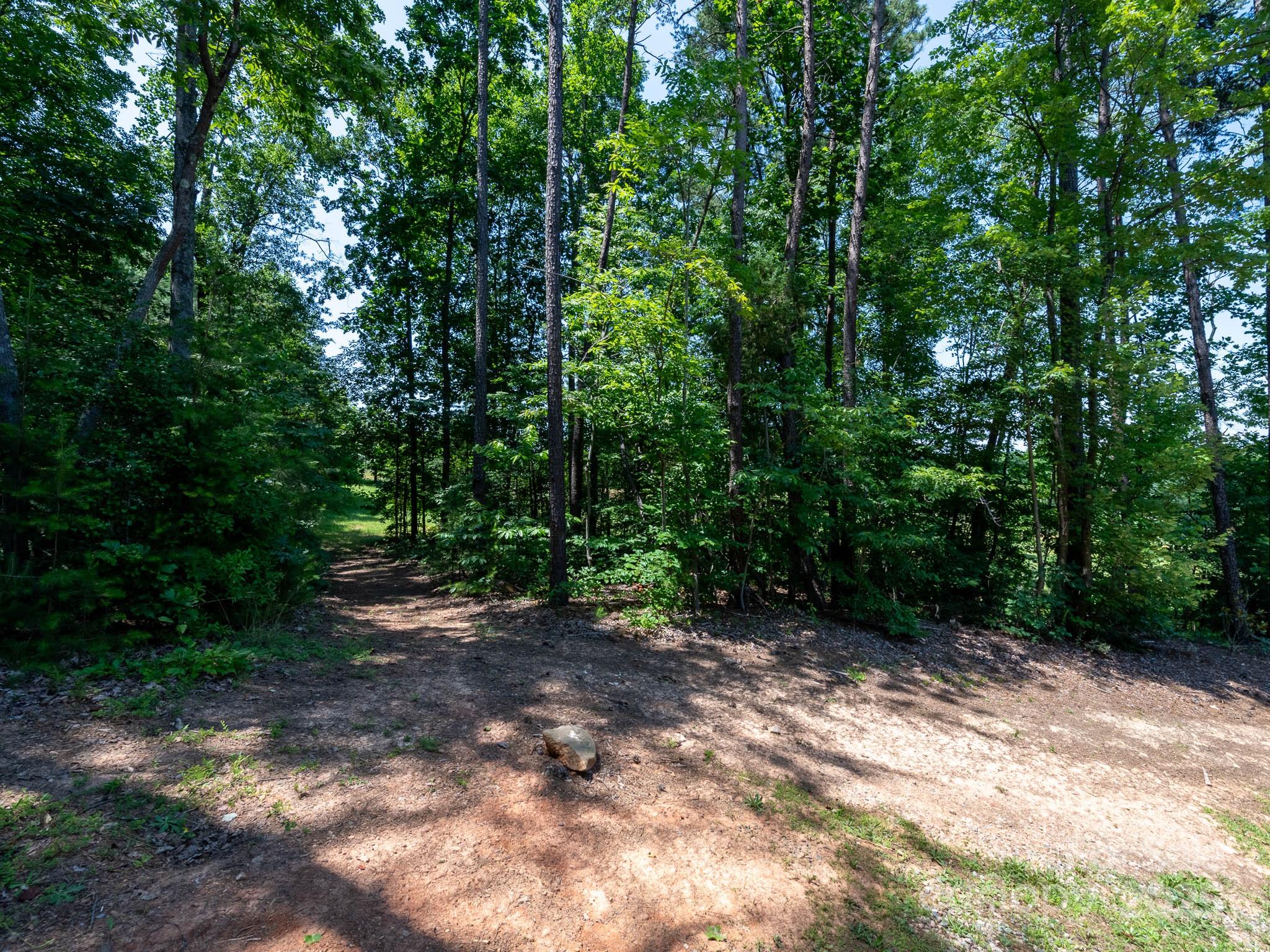 4237 Island Fox Lane Property Photo 39