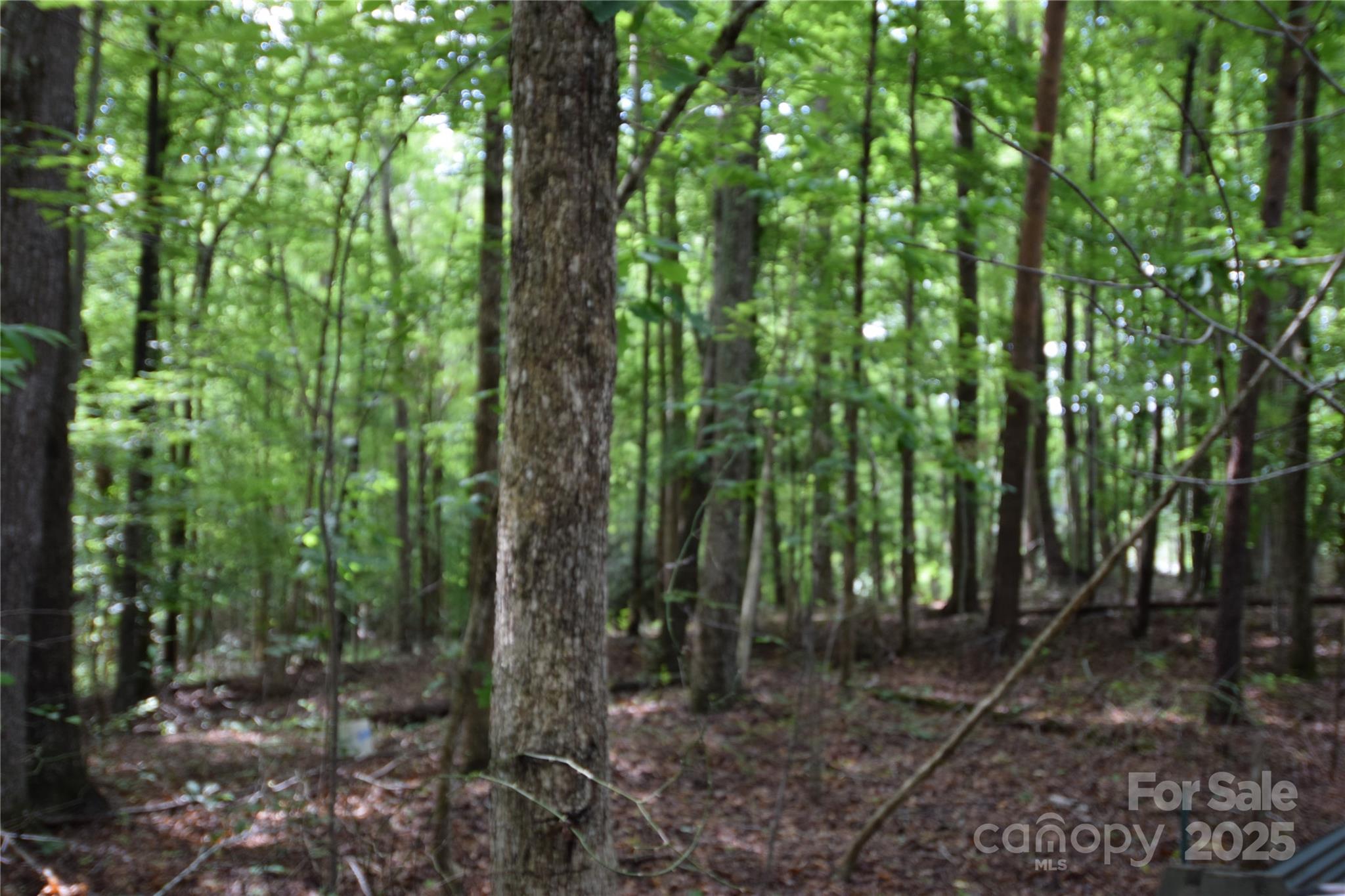 3375 Old Seine Road Property Photo 1