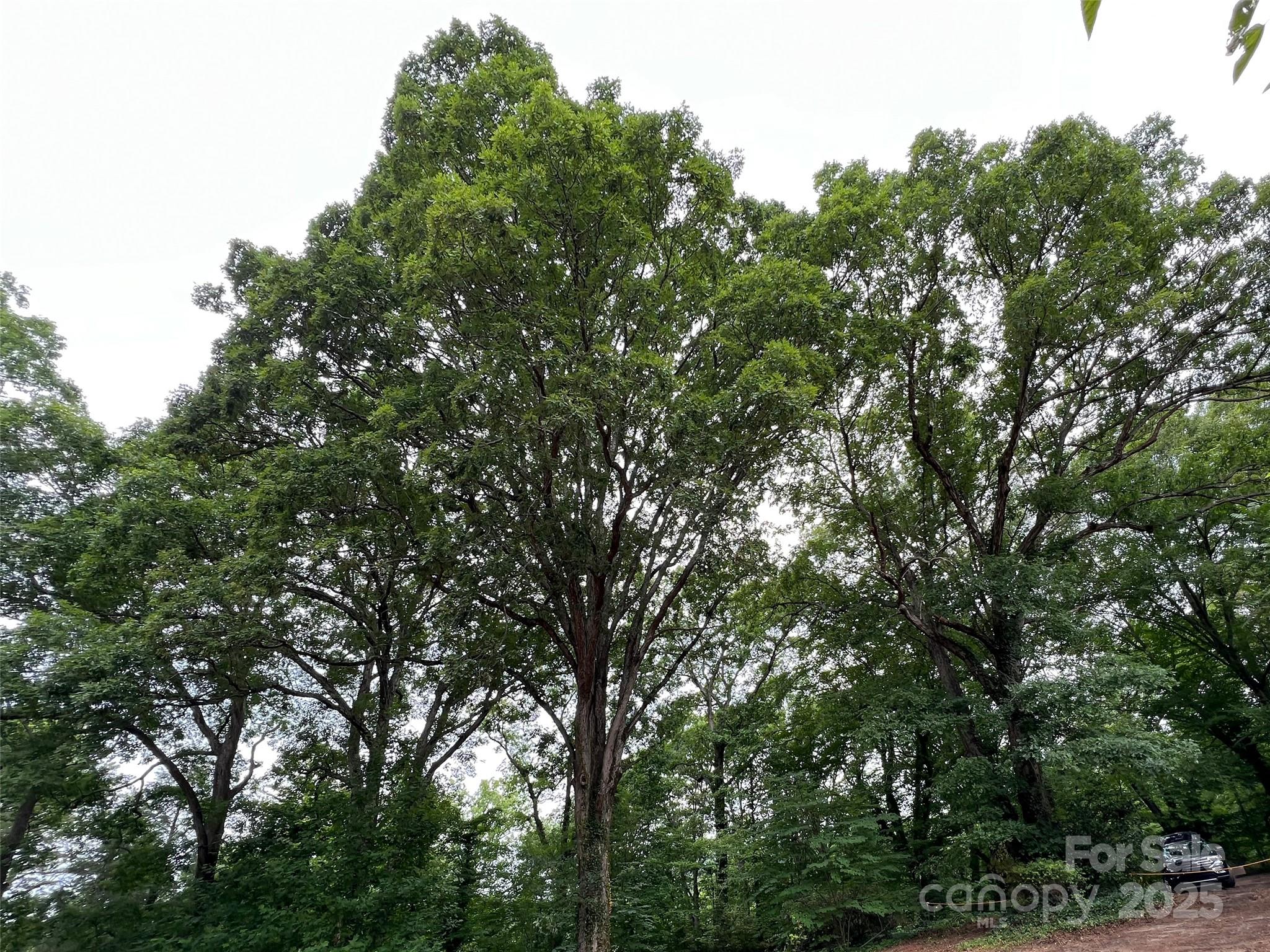91 Ford Ridge Lane Property Photo 16