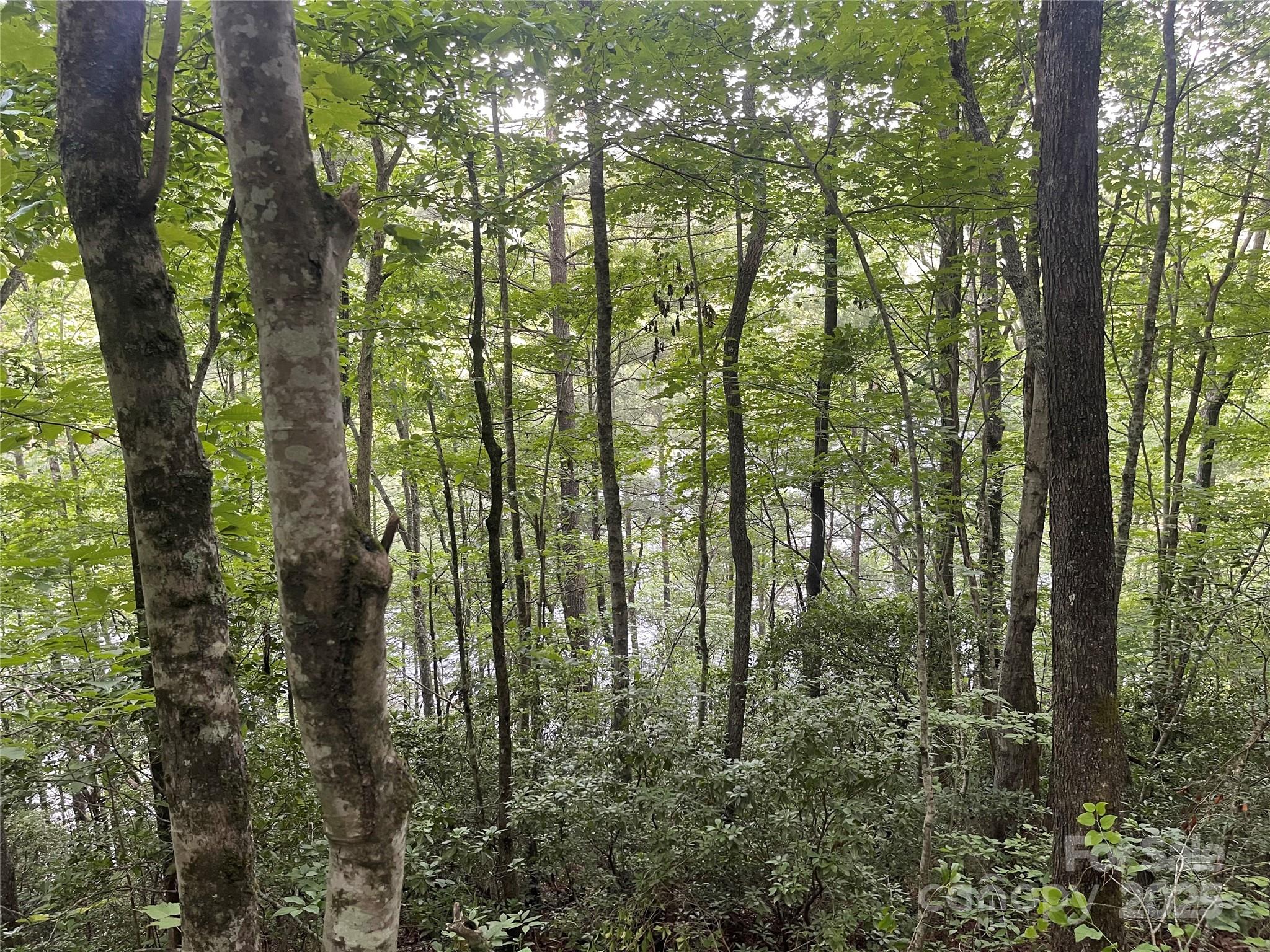 2642 Canada Road Property Photo 1